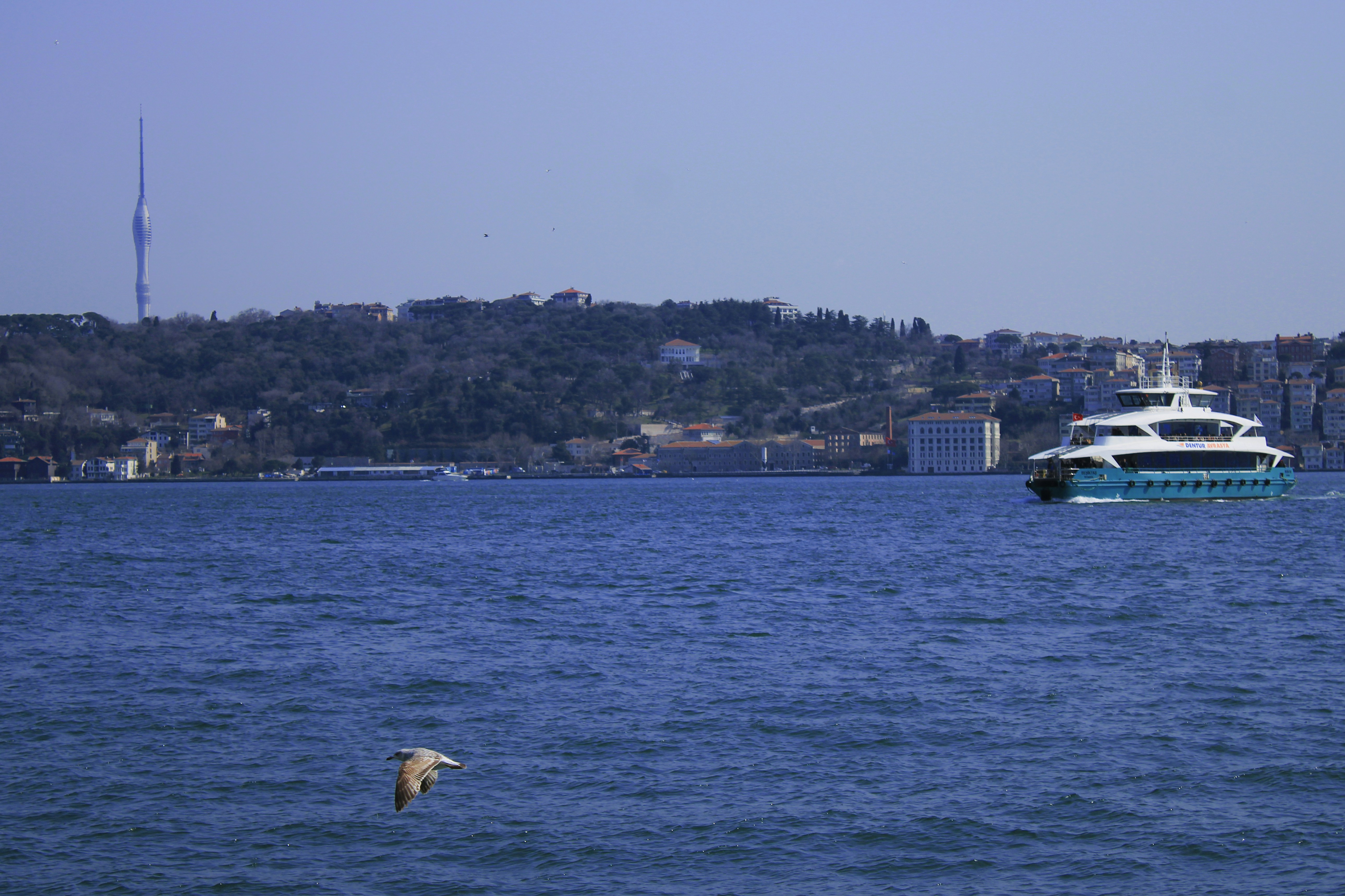 Photo by kereemozyurt