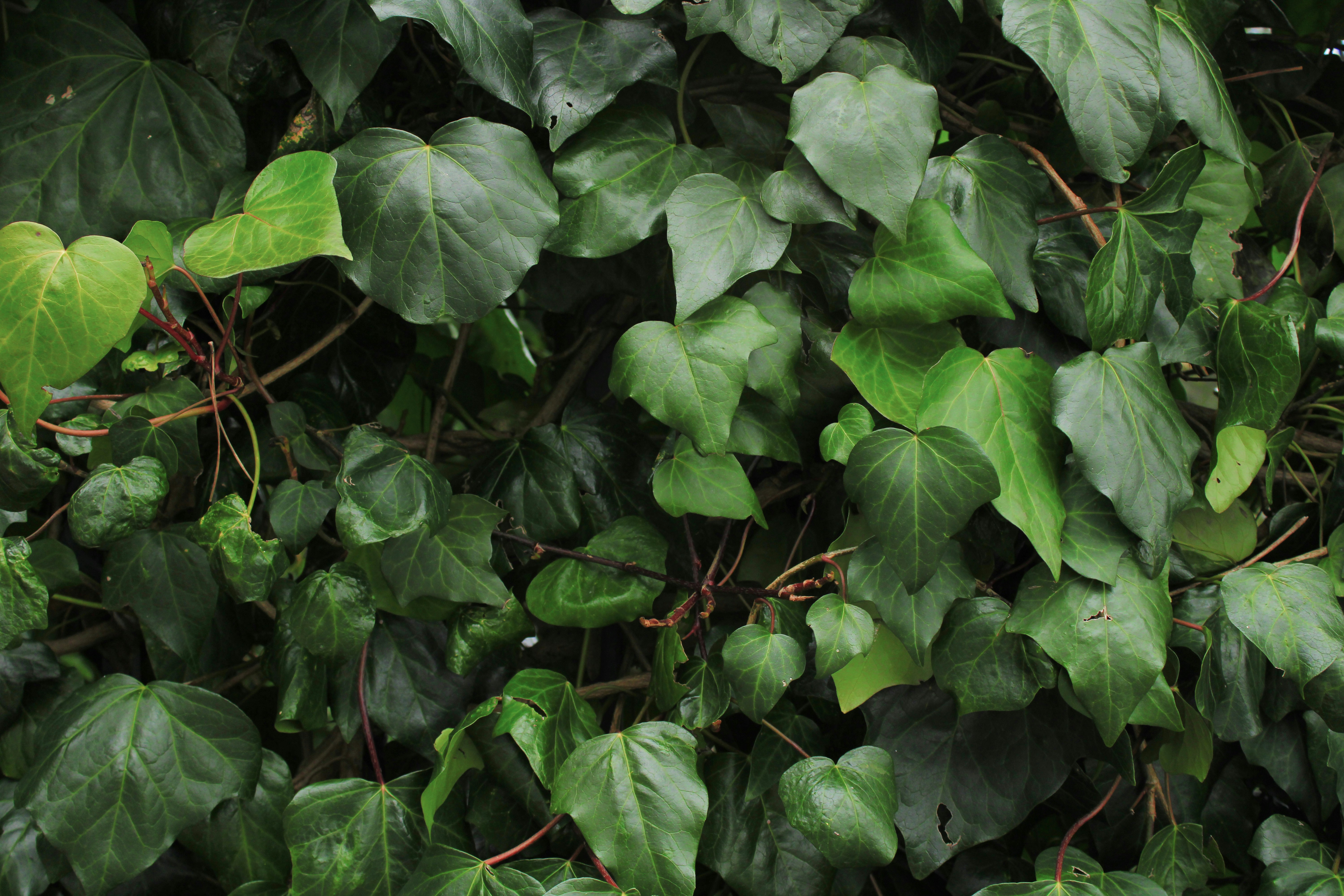 Photo by kereemozyurt