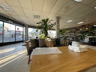 a large room with a table and chairs and a plant