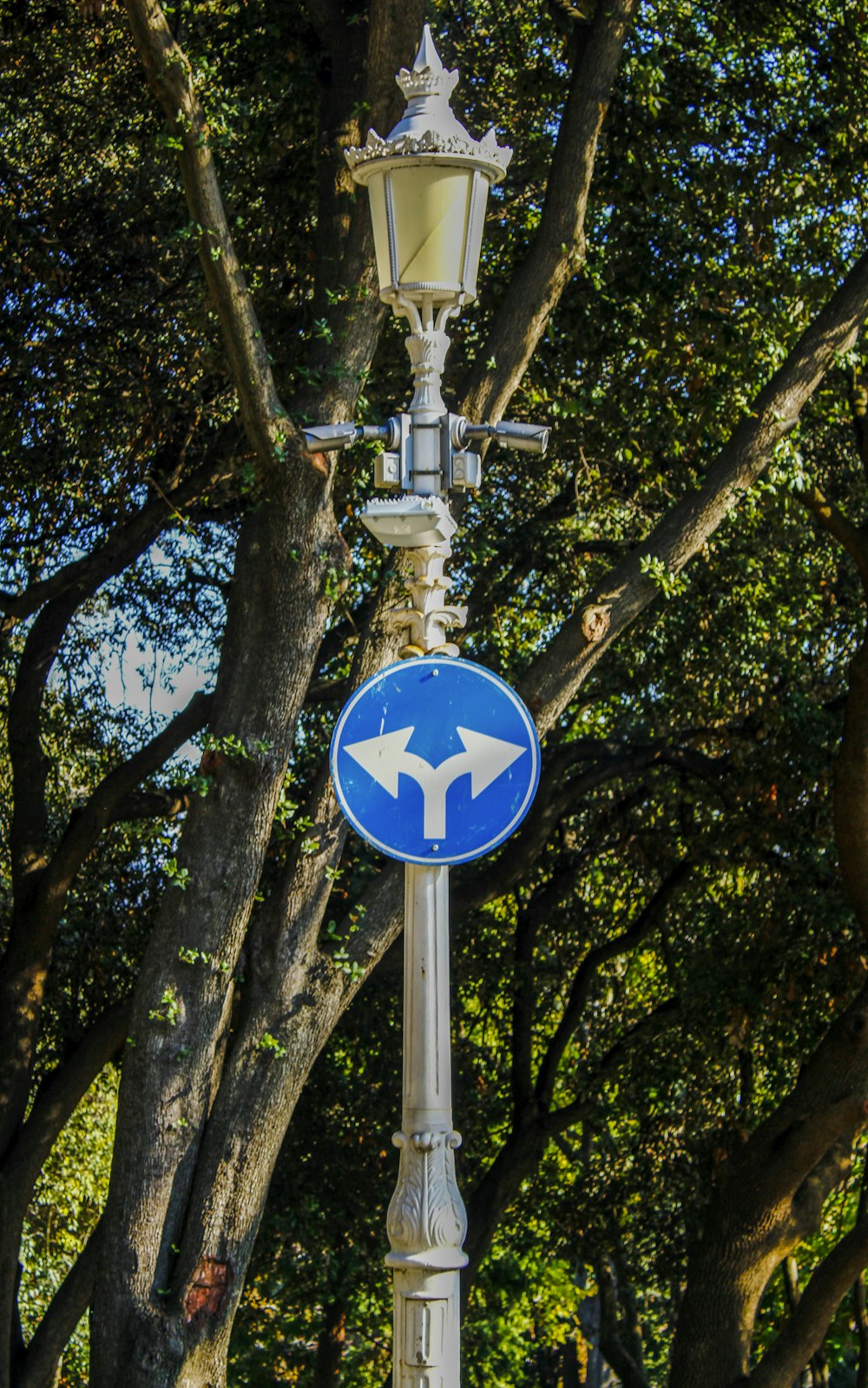 Un letrero de calle con una flecha azul