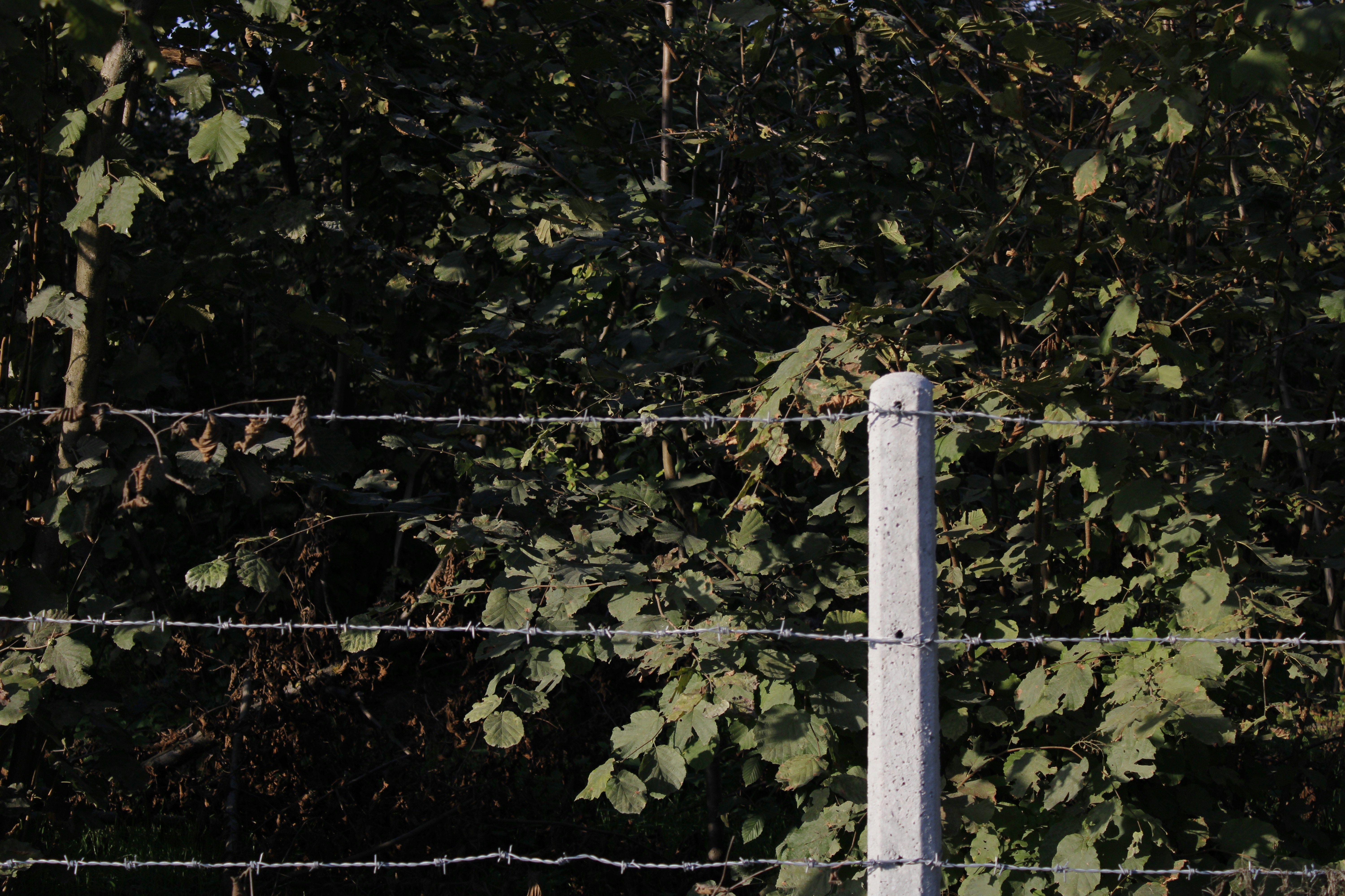 Photo by kereemozyurt