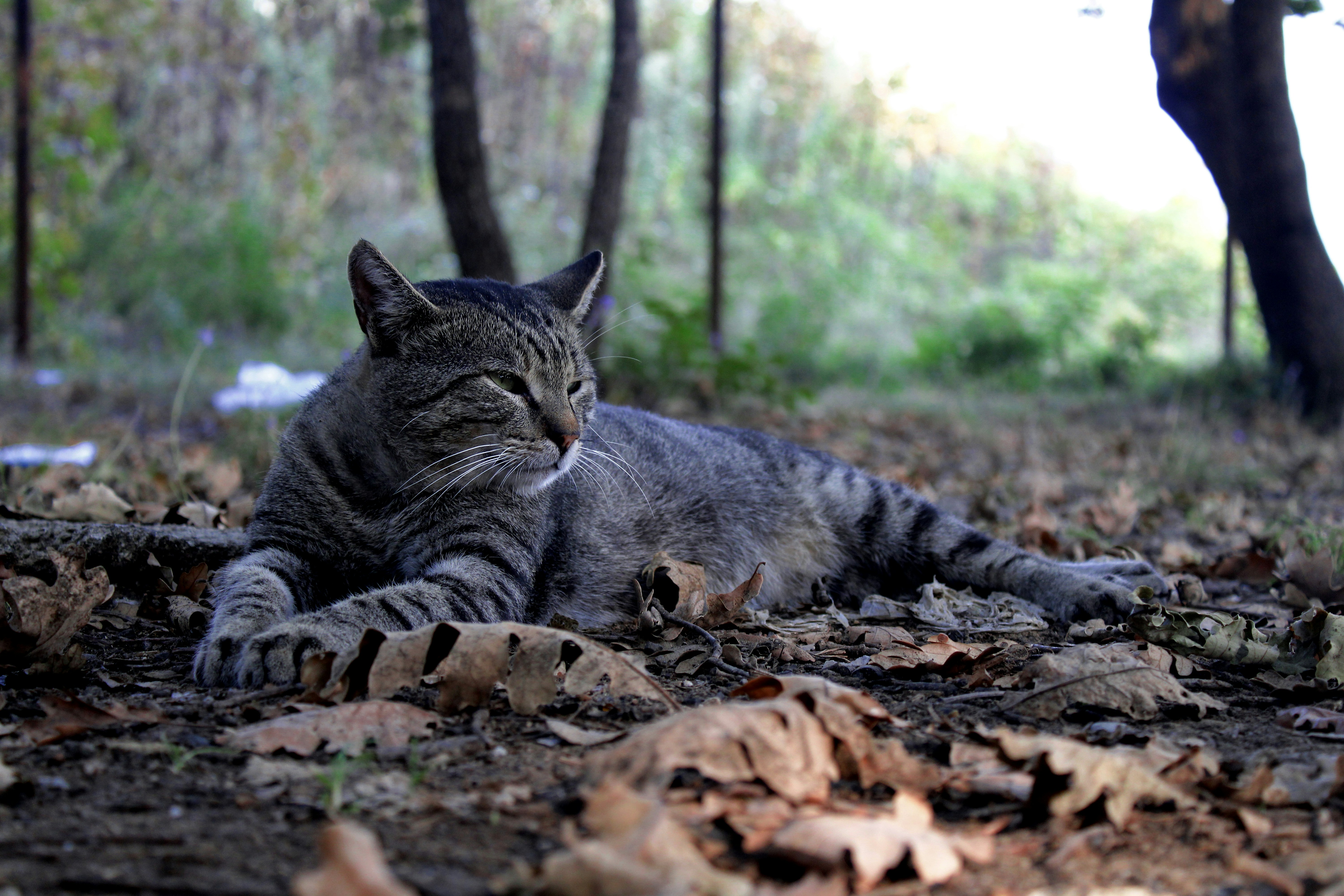 Photo by kereemozyurt