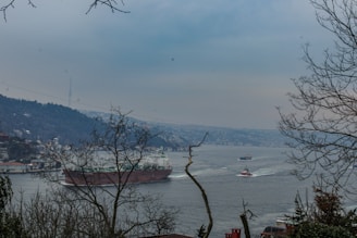 A large cargo ship is navigating through a wide body of water surrounded by hills. On one side, residential buildings and vegetation can be seen. The scene is overcast with bare tree branches framing the image.