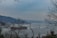 A large cargo ship is navigating through a wide body of water surrounded by hills. On one side, residential buildings and vegetation can be seen. The scene is overcast with bare tree branches framing the image.
