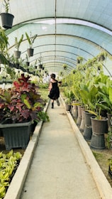 a person walking in a greenhouse