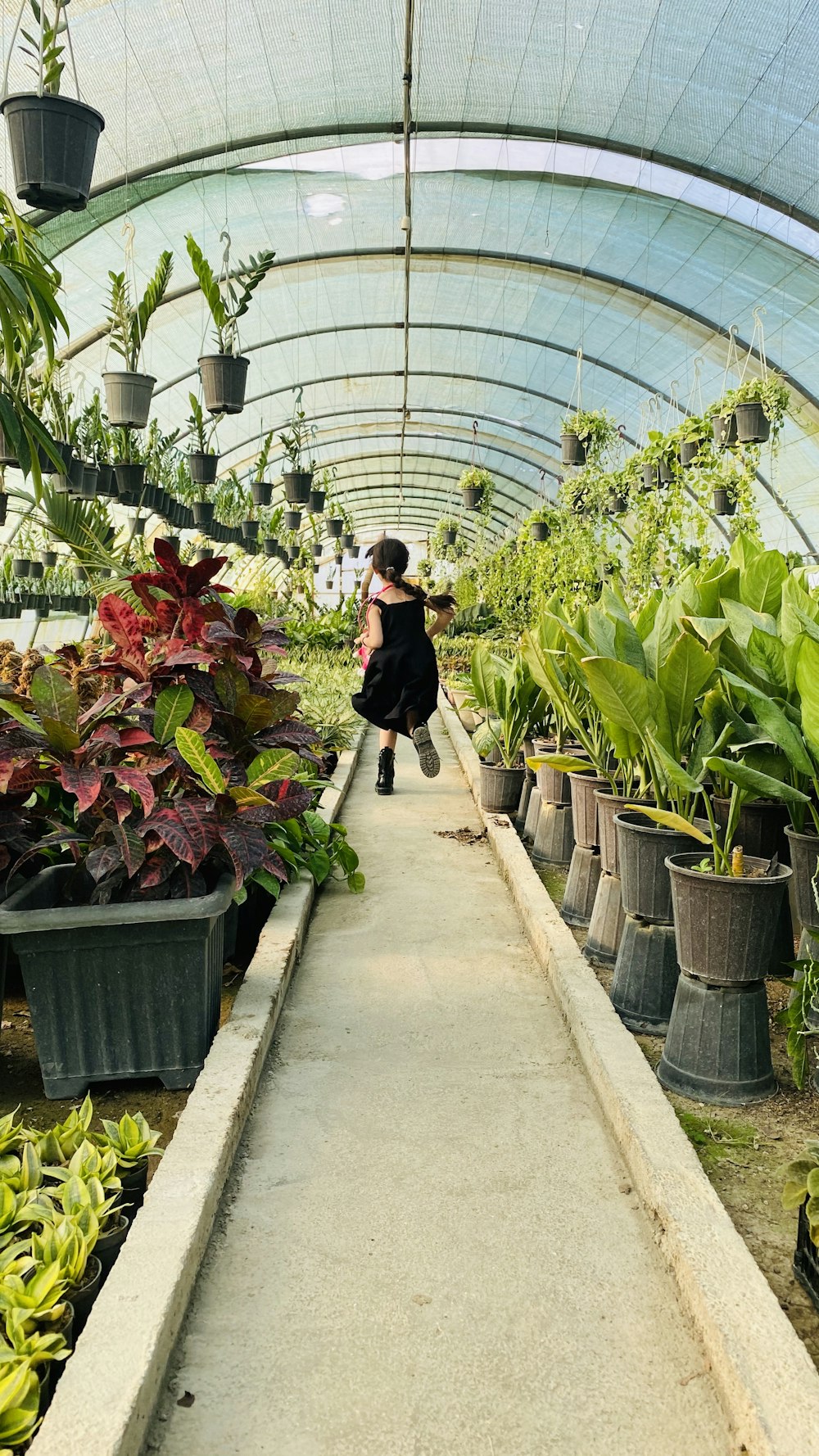 a person walking in a greenhouse