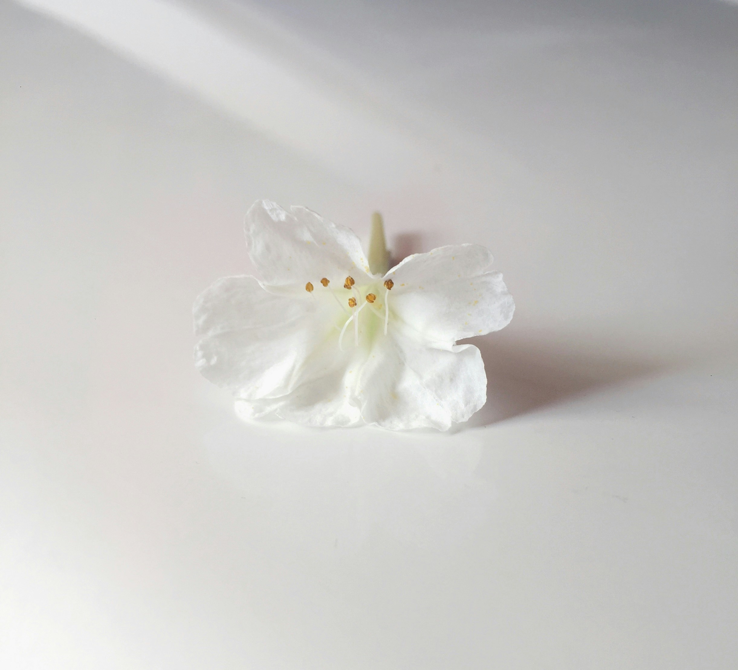 Photo by benjamindem