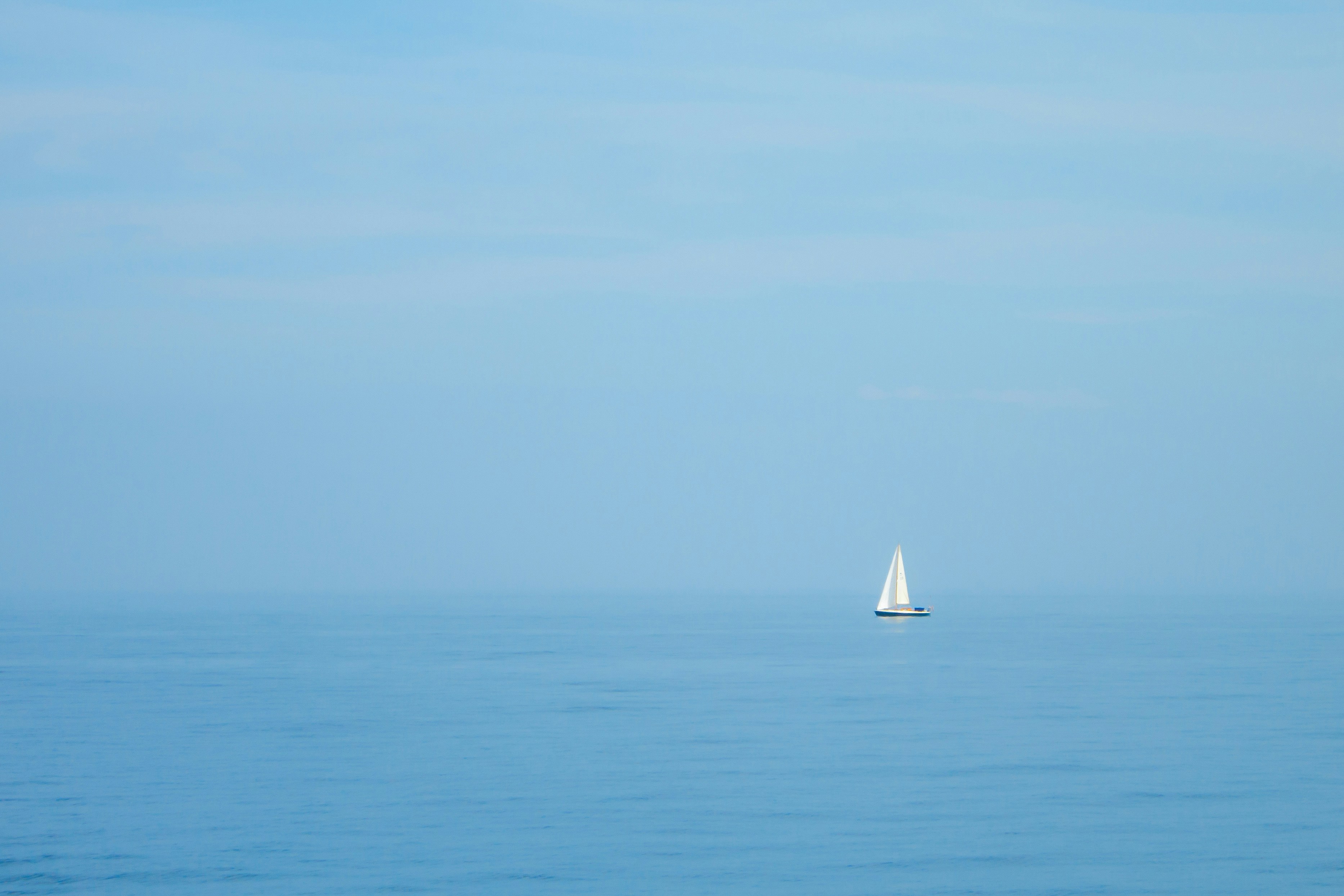 ein Segelboot auf dem Wasser
