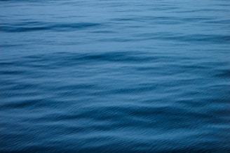 a body of water with waves