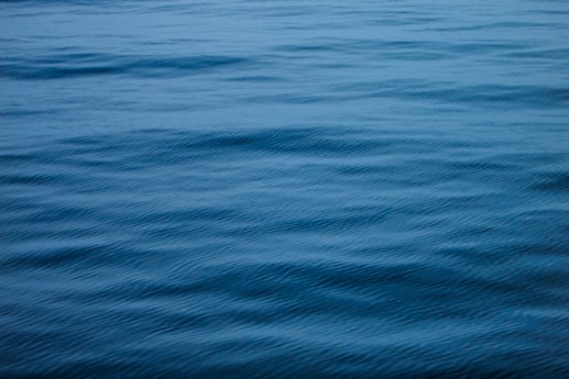 a body of water with waves