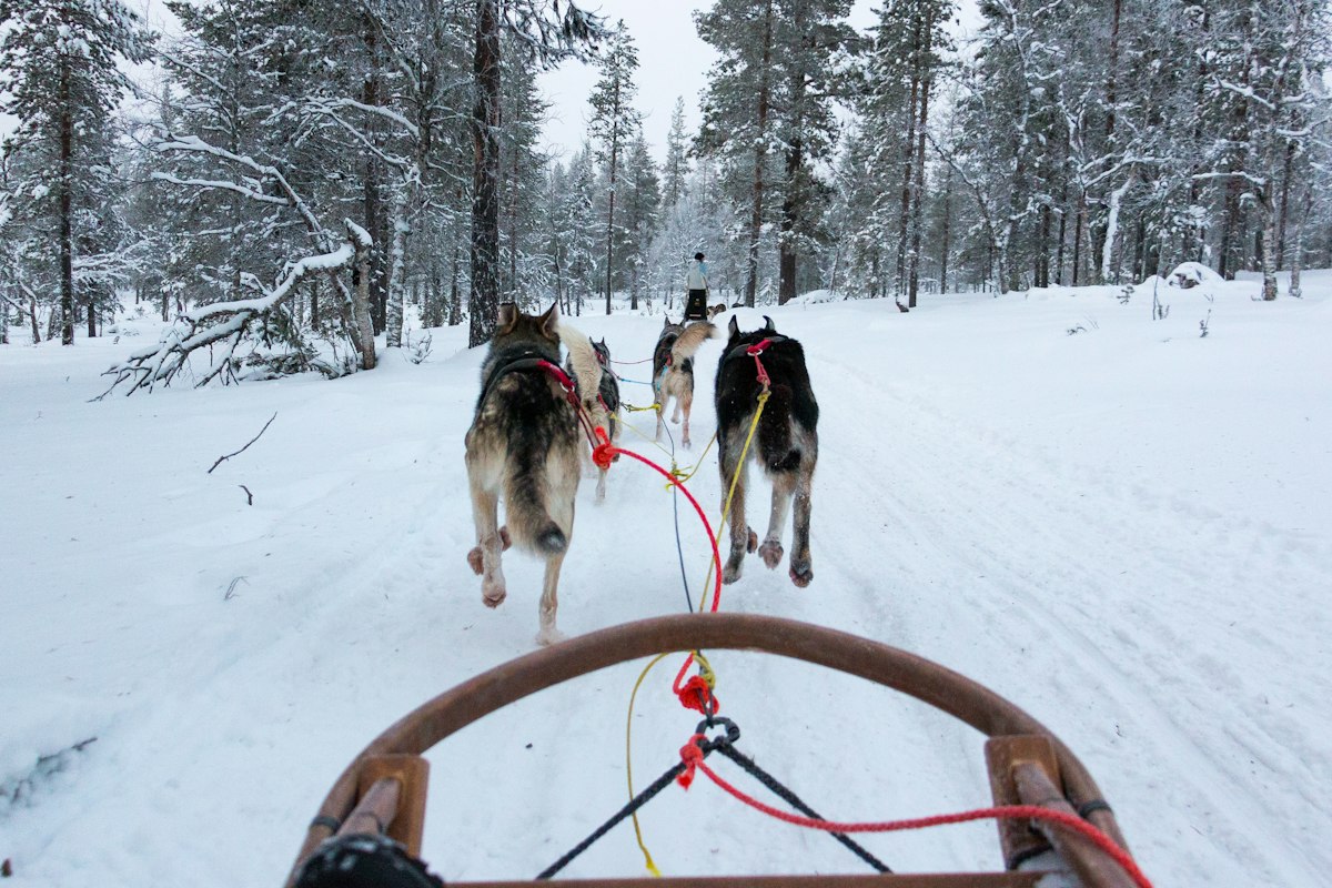 Dog Sledding and Winter Activities Near Bariloche for Non-Skiers