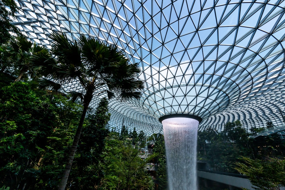 a large glass ceiling with trees