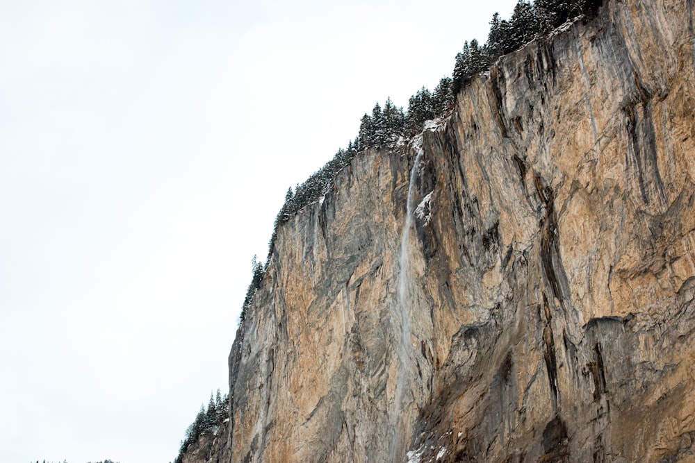 a cliff with trees on it