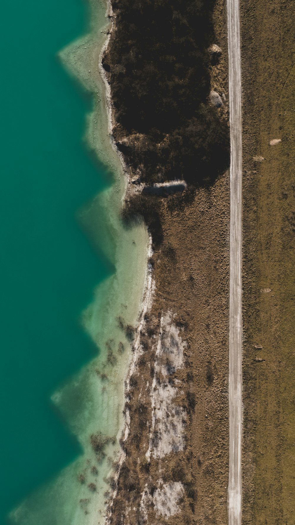 a beach with a body of water