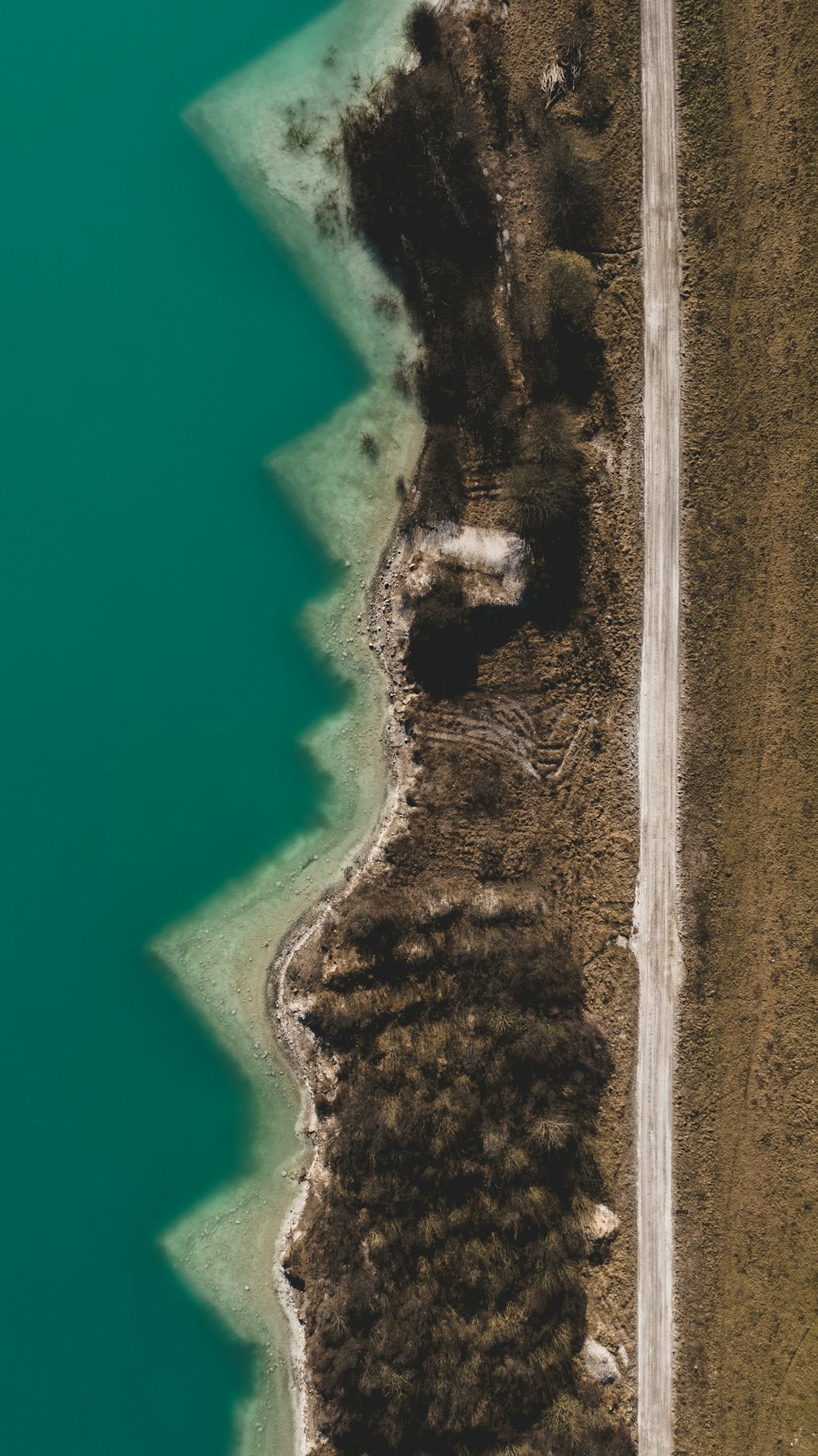 a beach with a body of water