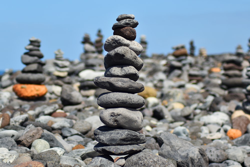 a group of rocks