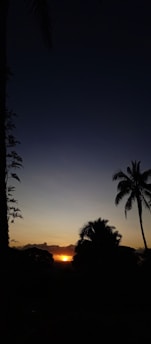 A warm, inviting shot of a Caribbean sunset blending into a jazz club scene.