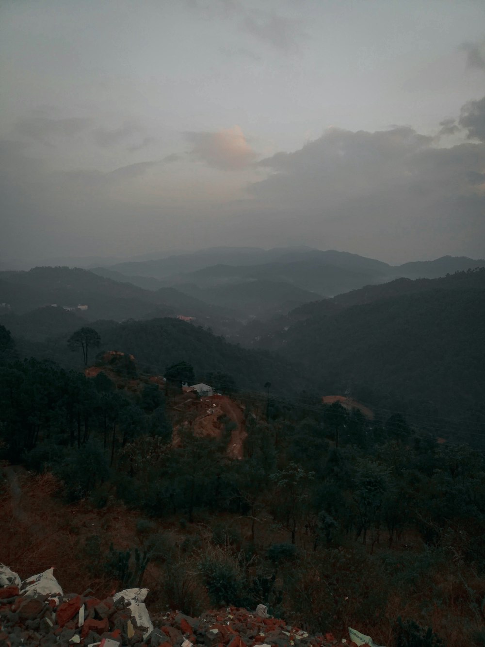 uma paisagem com árvores e colinas