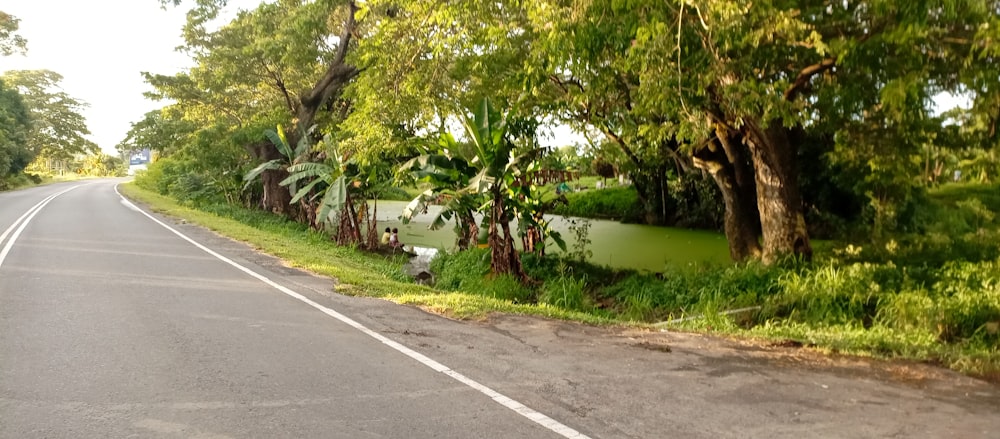 a road with trees on the side