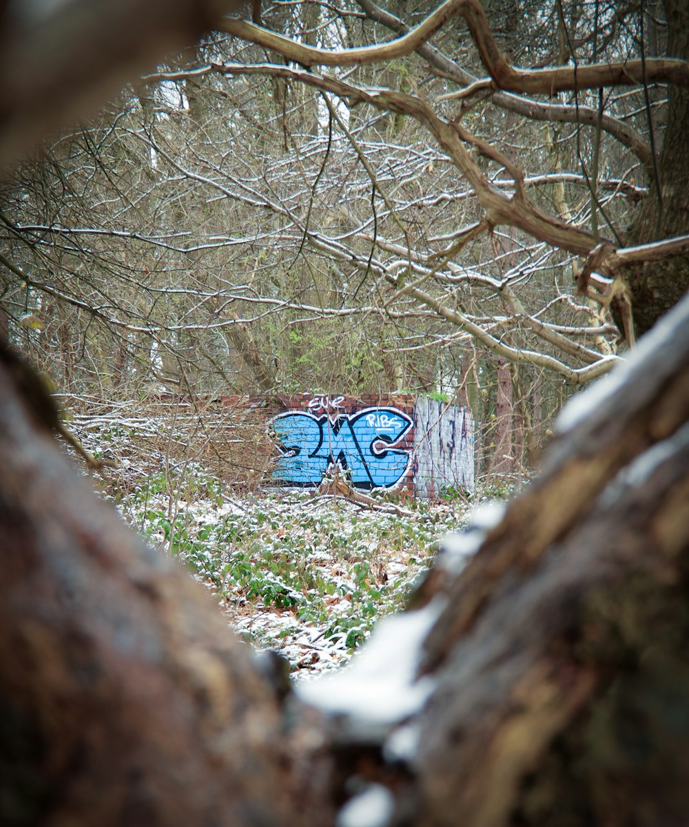 a tree branch with a sign on it