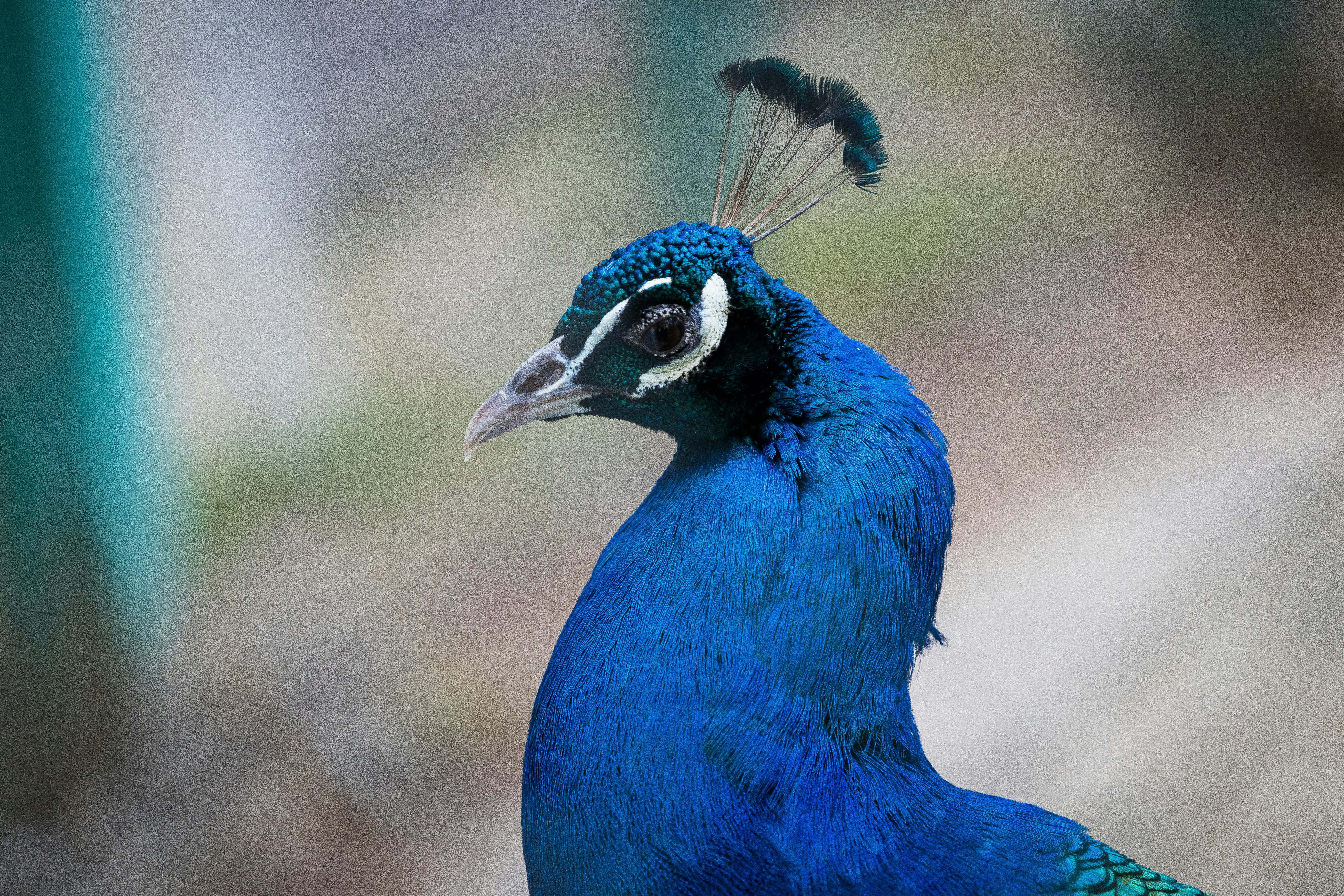 Photo by sultanikromov