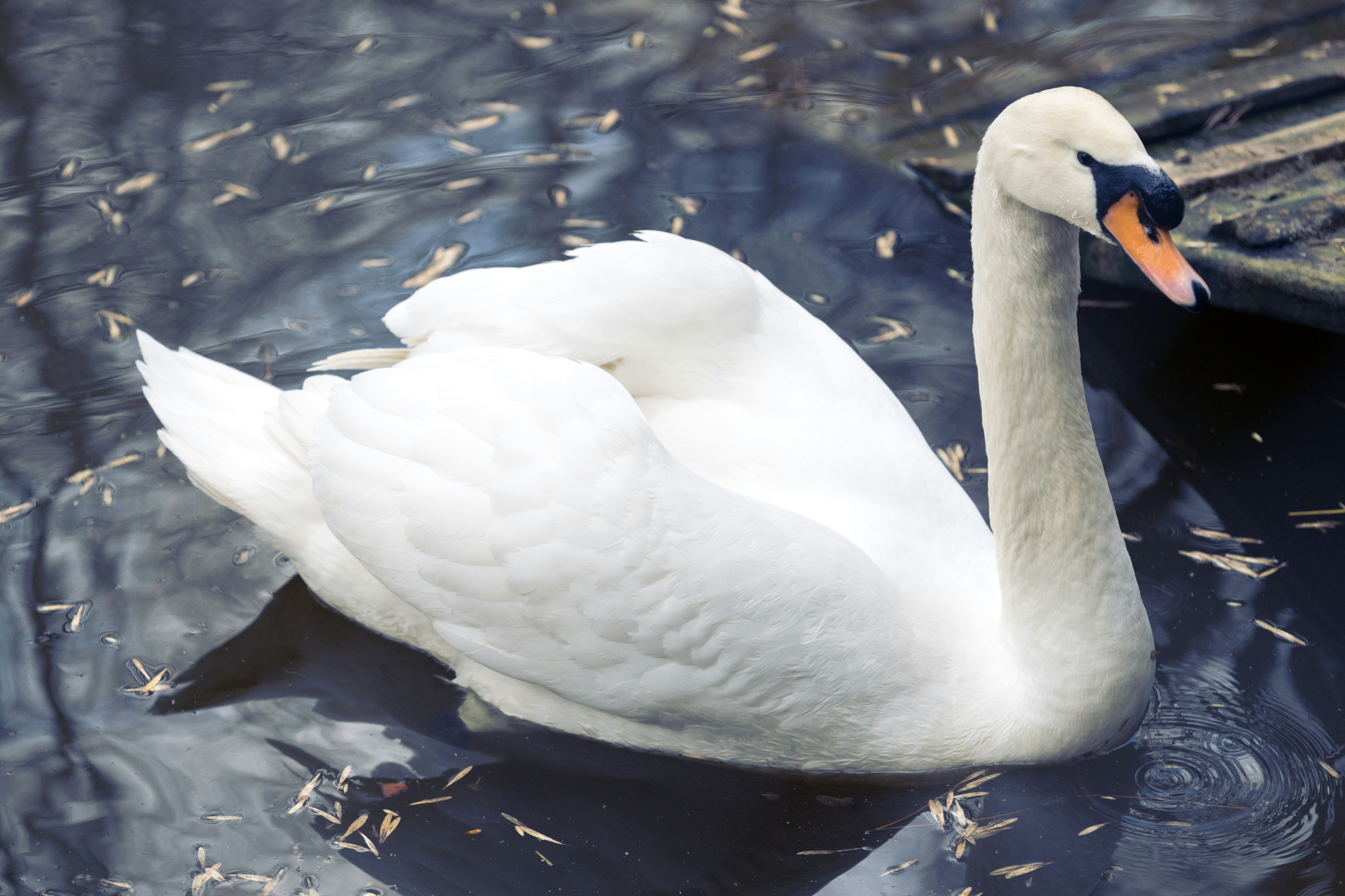 Photo by sultanikromov