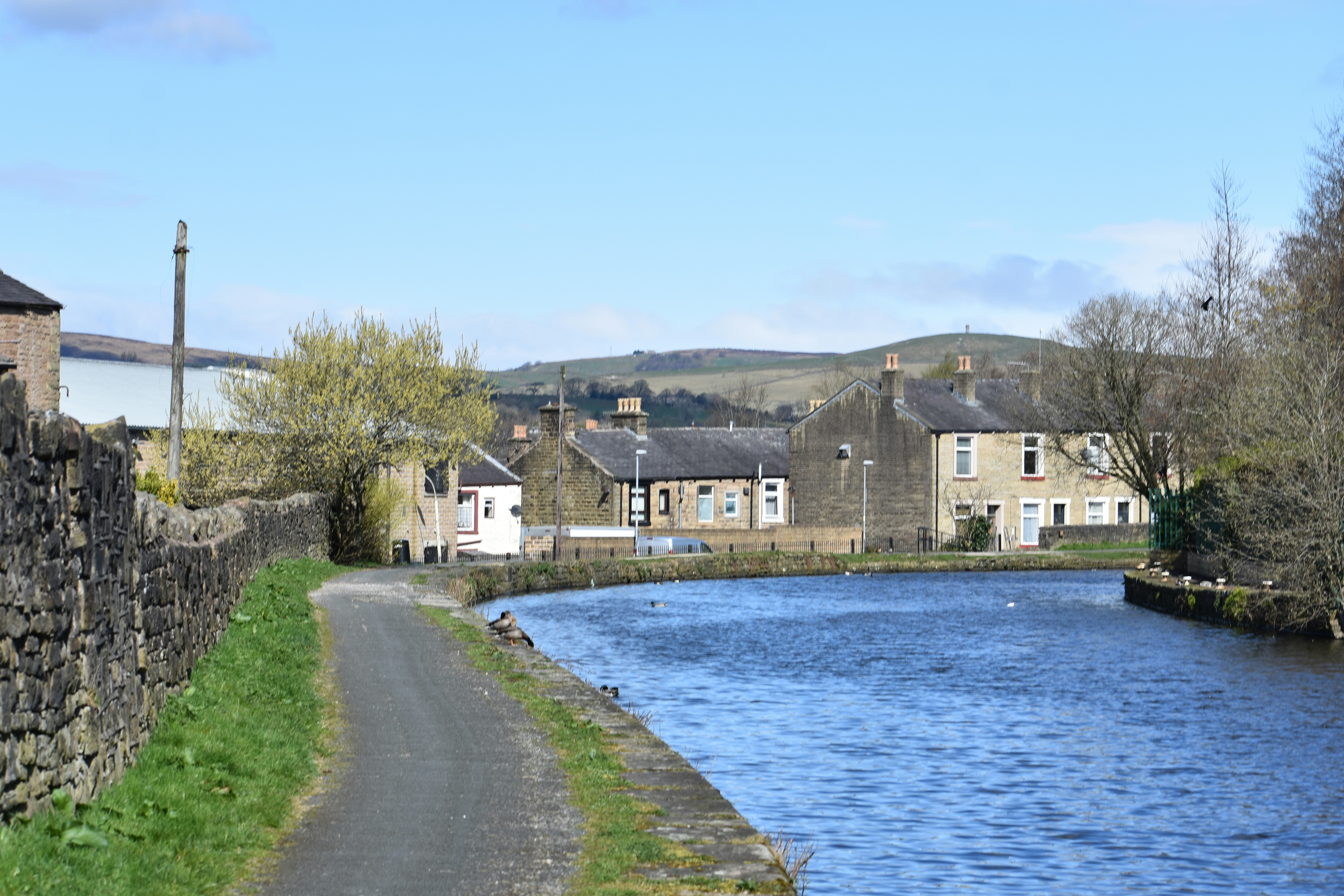 The Drowning Cyclist and the Wasp Nest