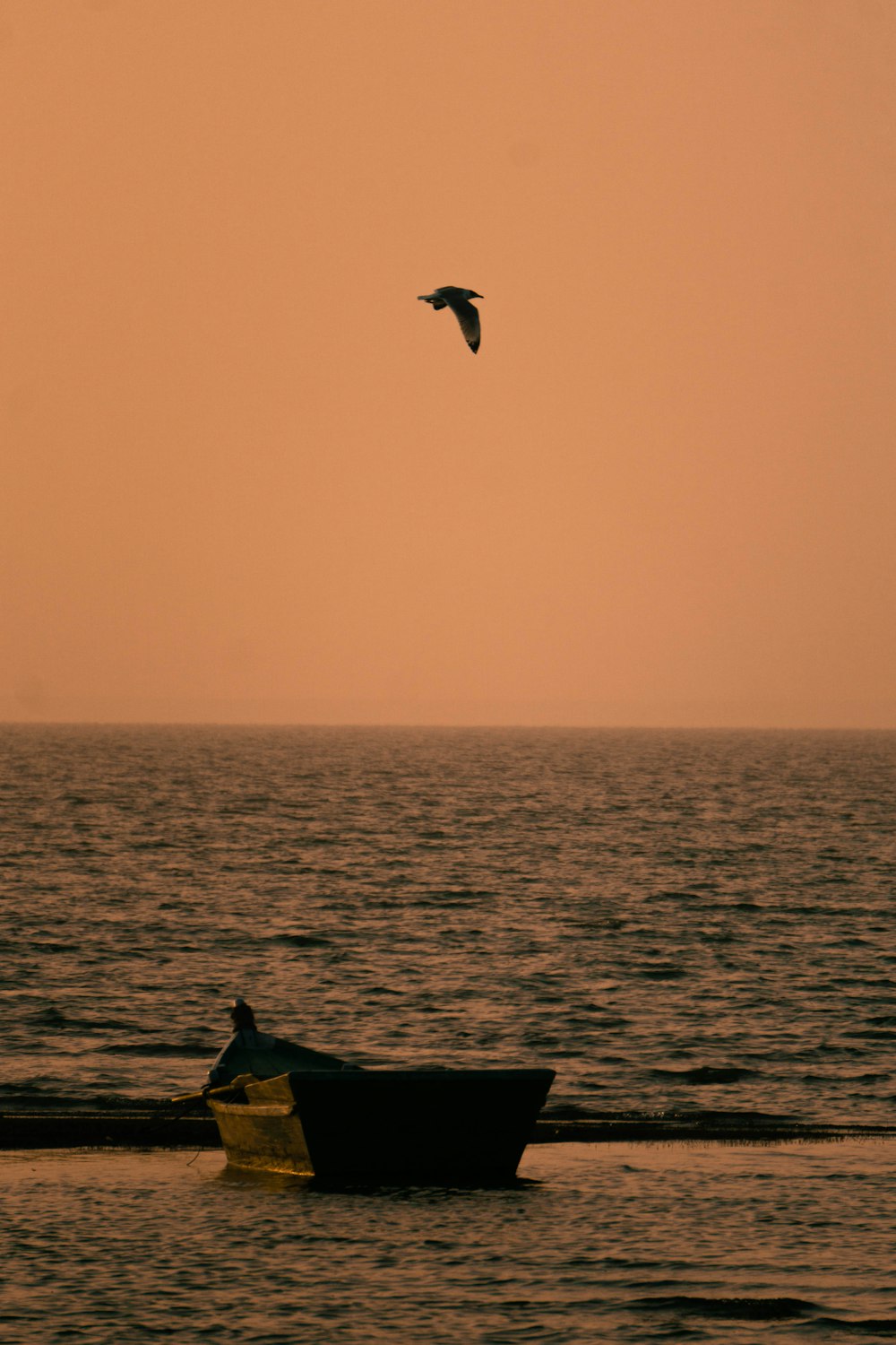 a bird flies over a boat