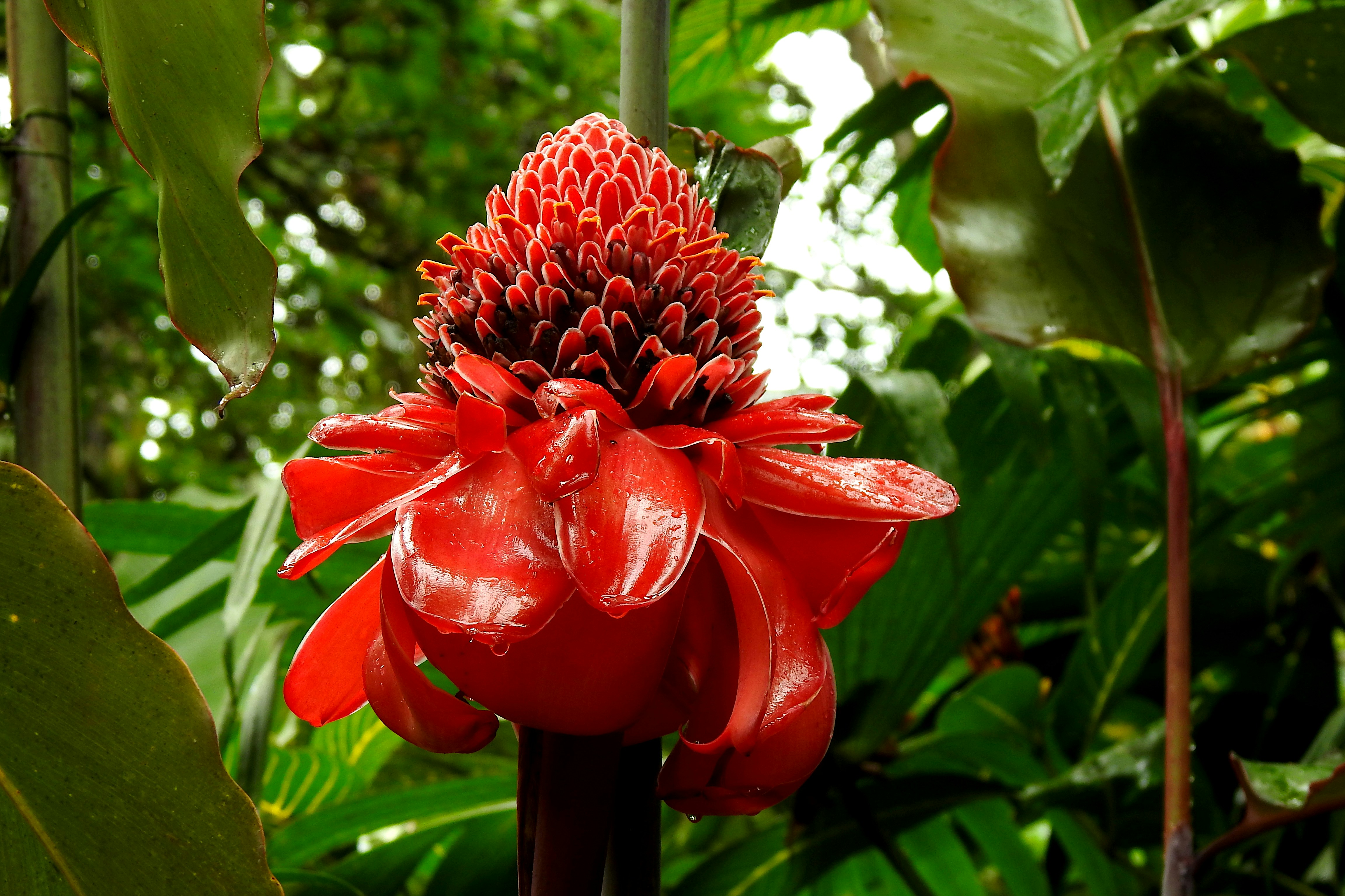 Photo by artemisdesign