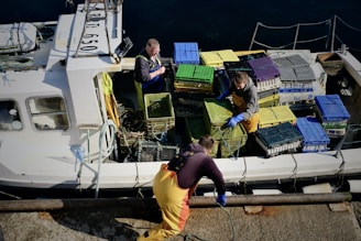 Several people wearing work clothing are on a boat handling various colored crates. The boat is docked and the scene suggests a fishing or seafood-related activity. The workers appear engaged and busy with the containers neatly stacked on the vessel.