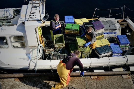 Several people wearing work clothing are on a boat handling various colored crates. The boat is docked and the scene suggests a fishing or seafood-related activity. The workers appear engaged and busy with the containers neatly stacked on the vessel.