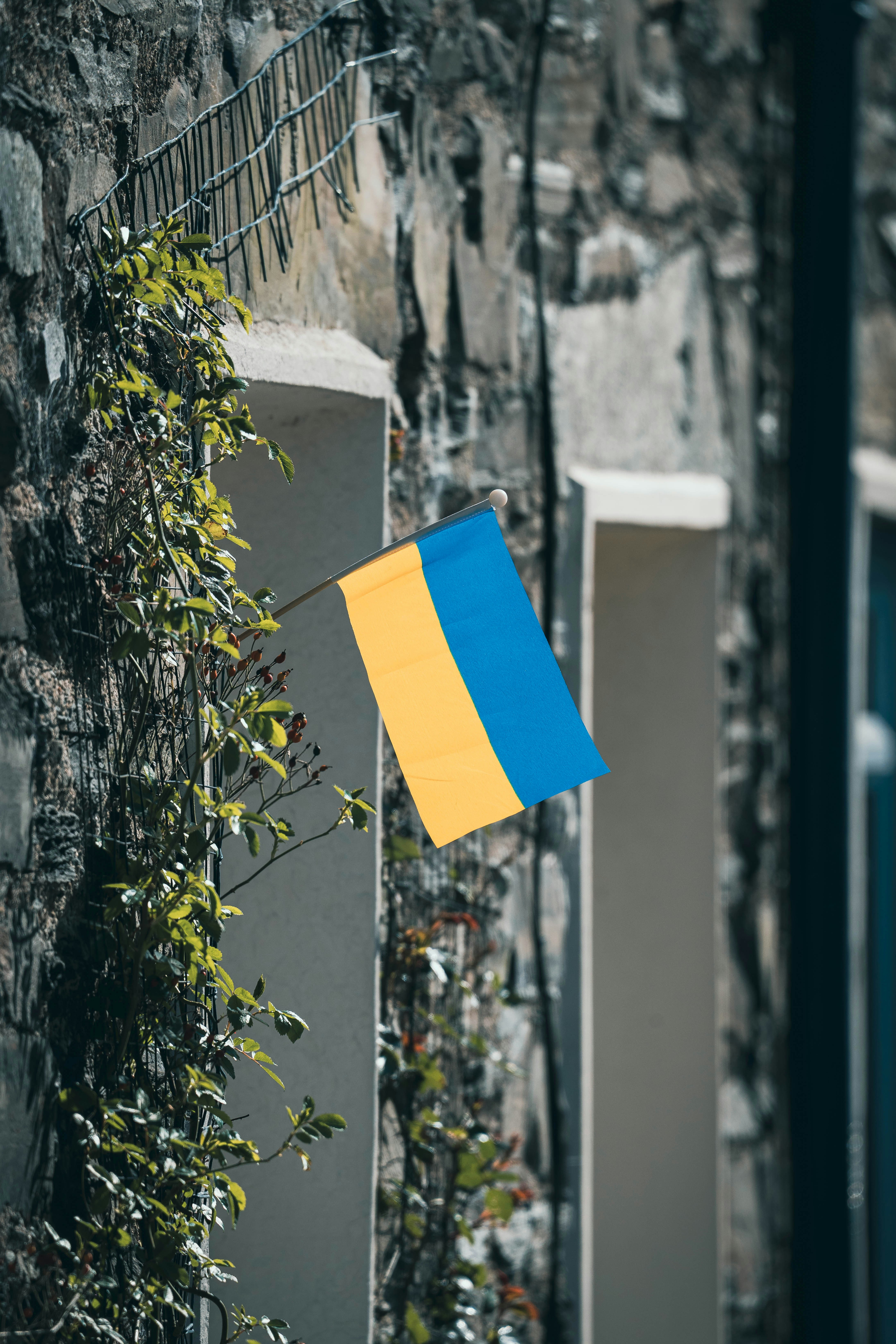a blue flag on a pole