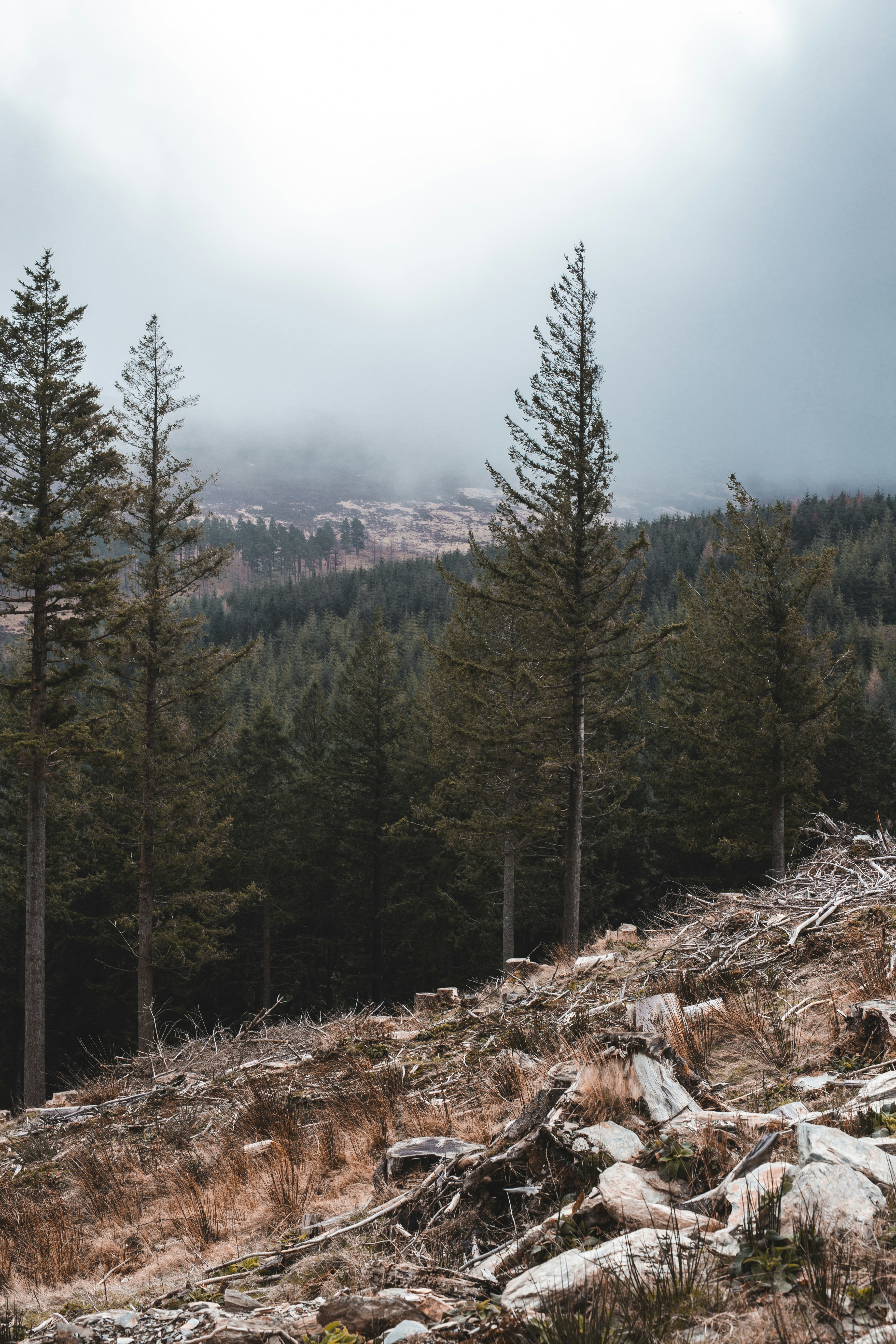 Photo by margauxbebin