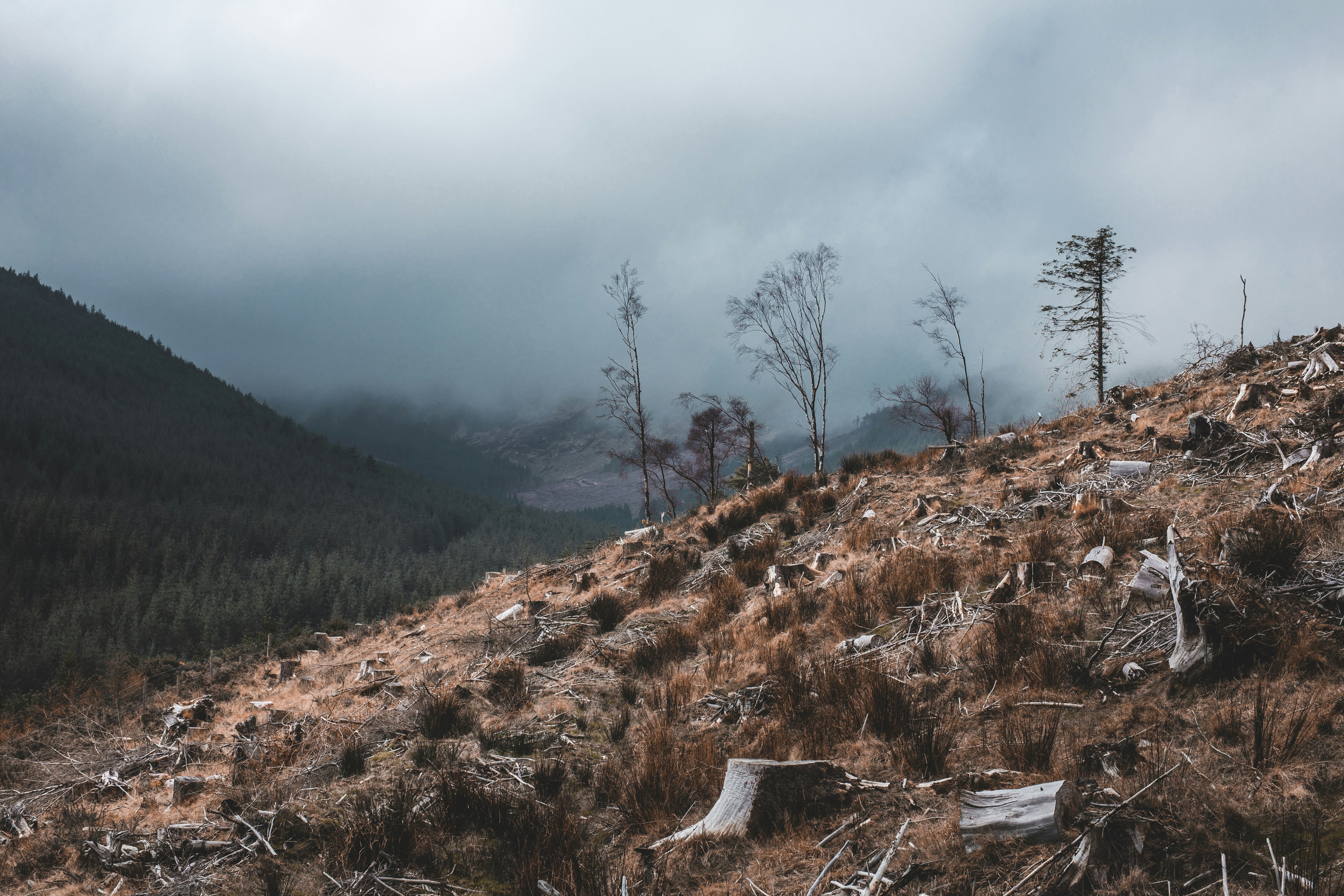 Photo by margauxbebin