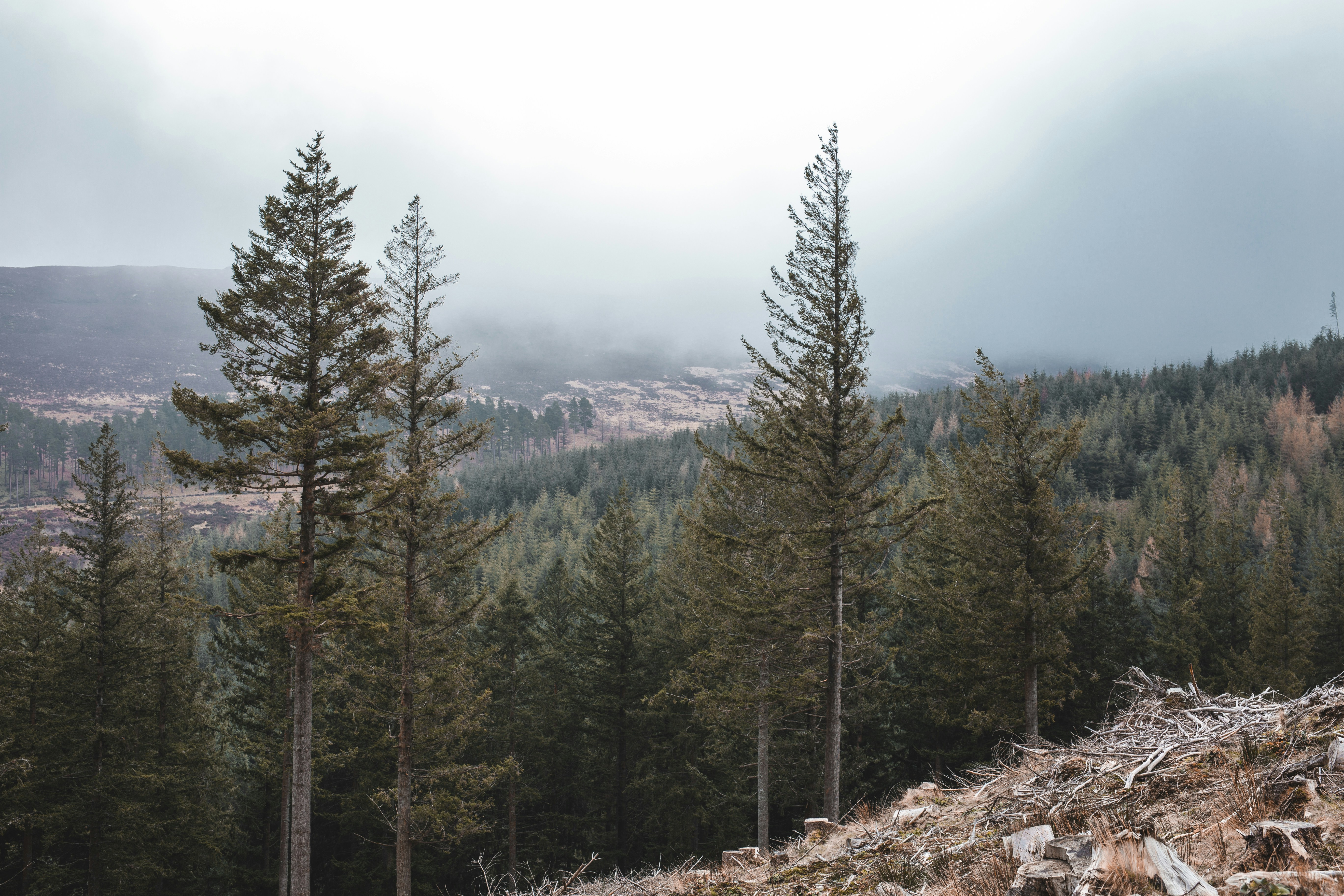 Photo by margauxbebin