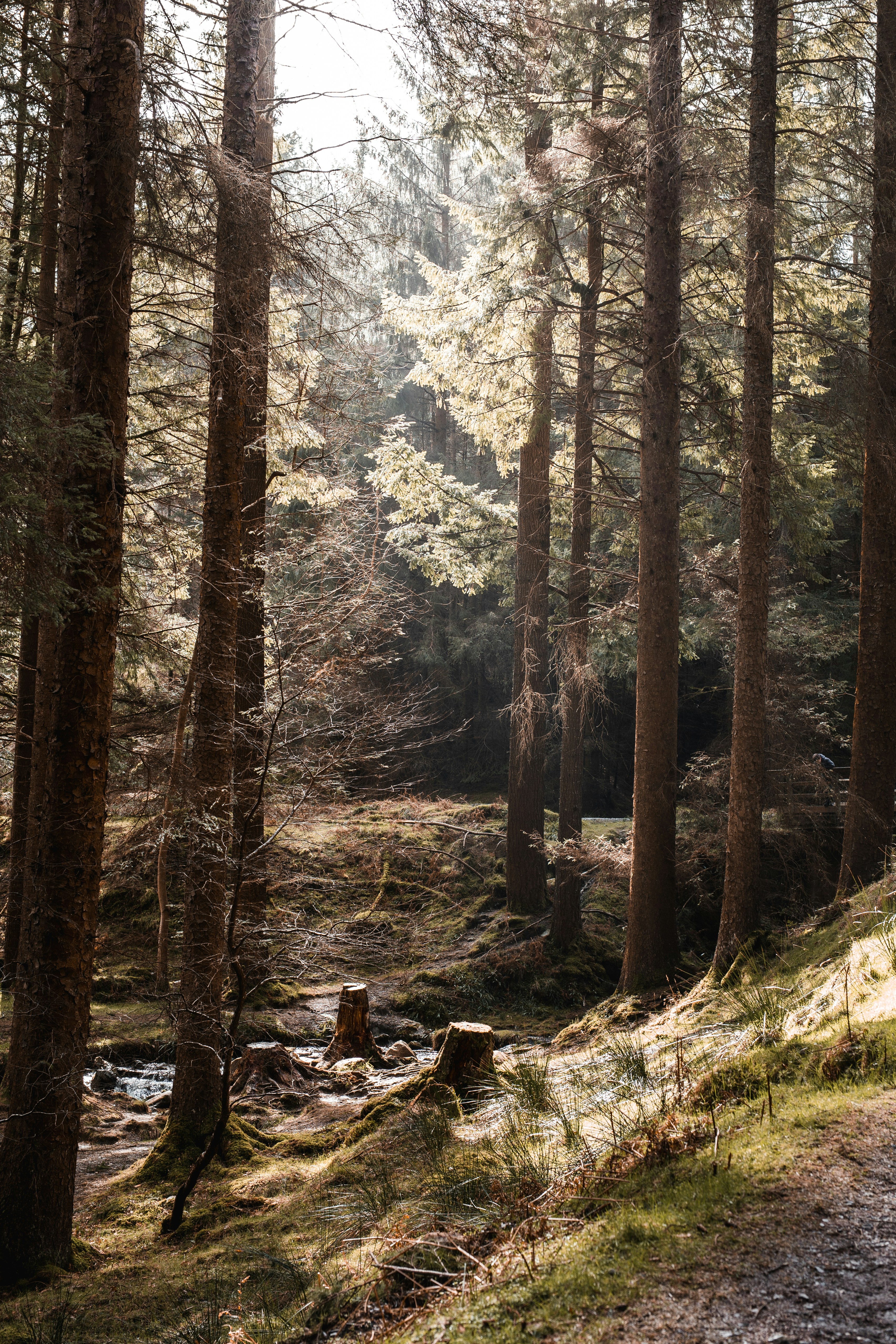 Photo by margauxbebin