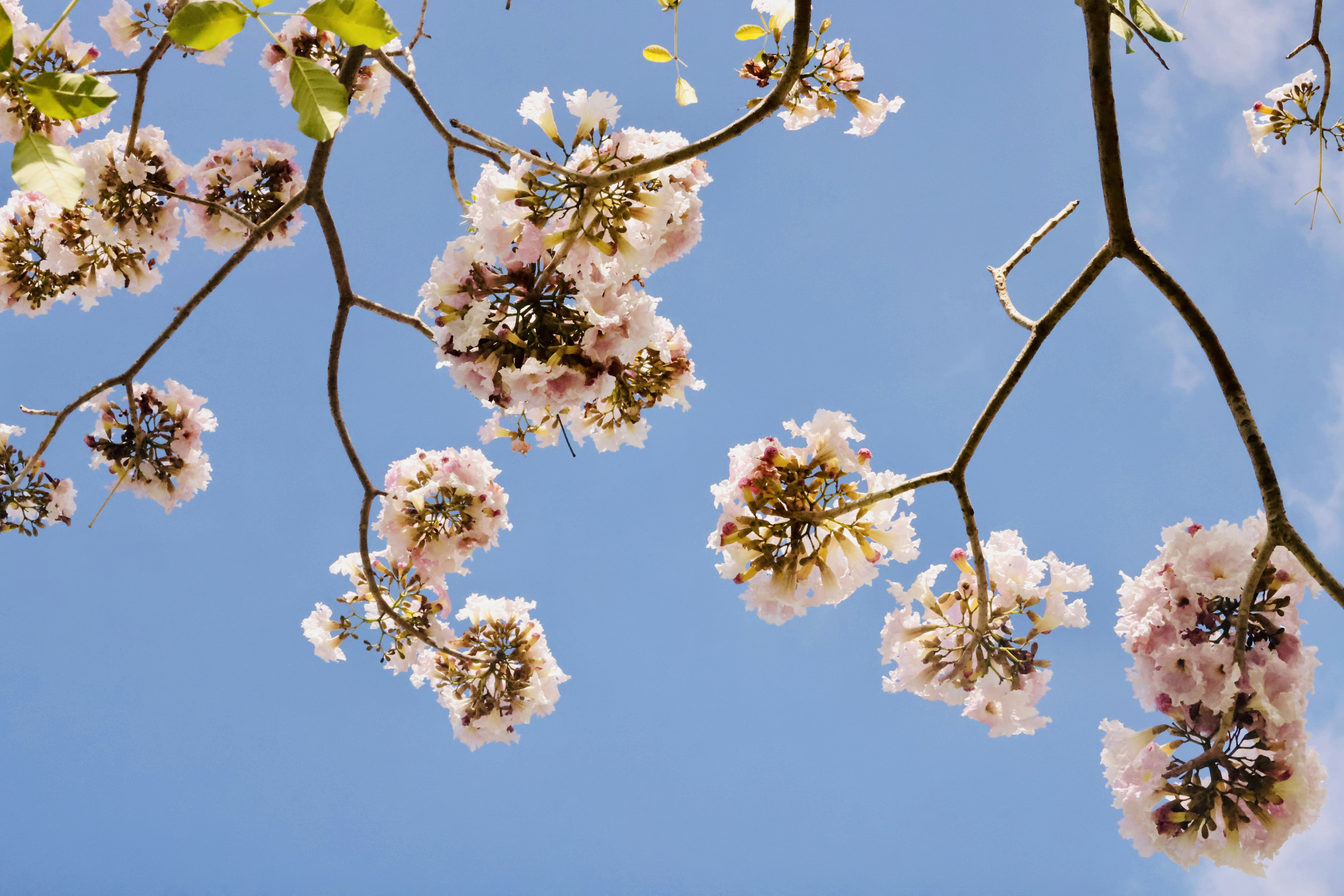 Photo by dickenslin76