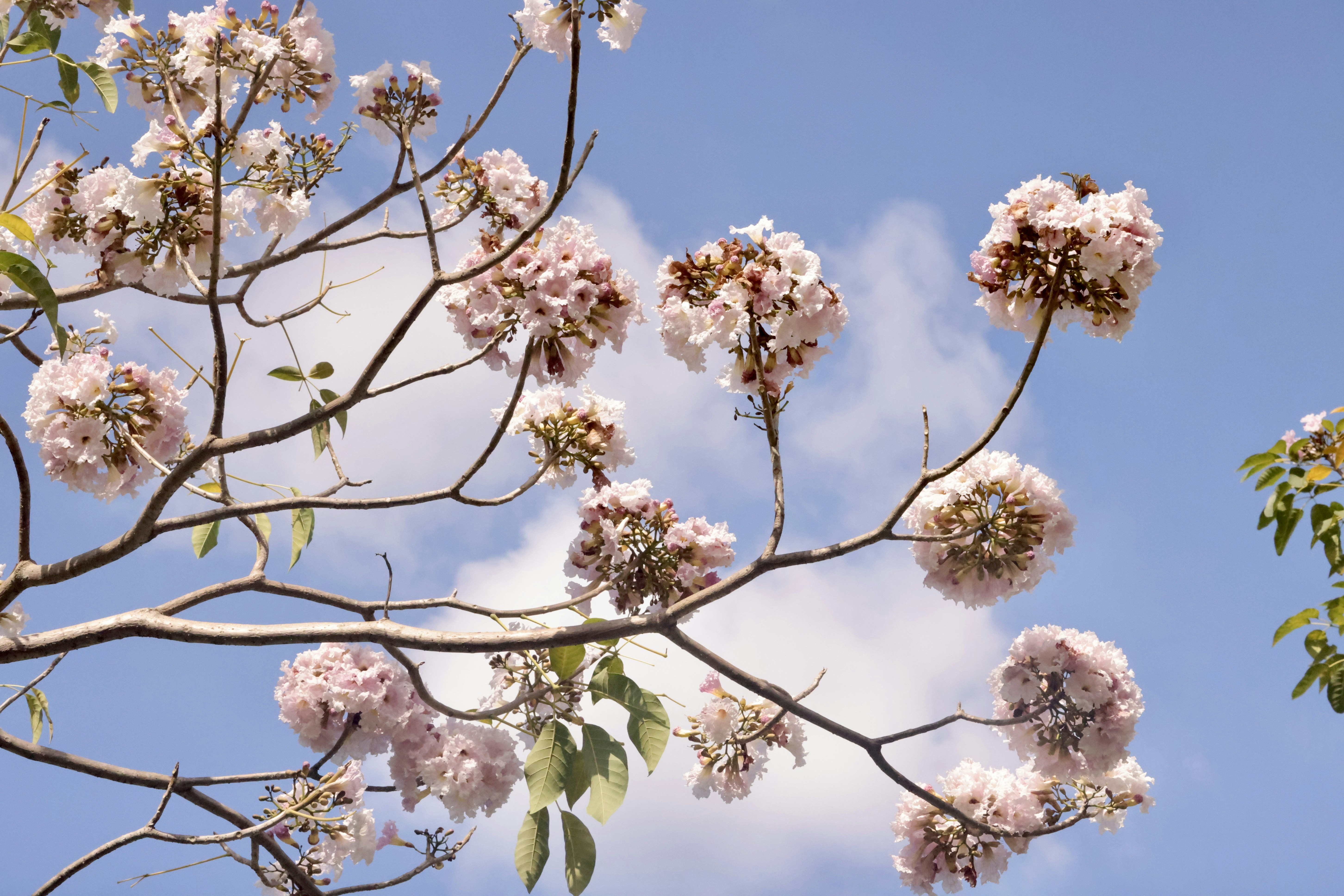 Photo by dickenslin76