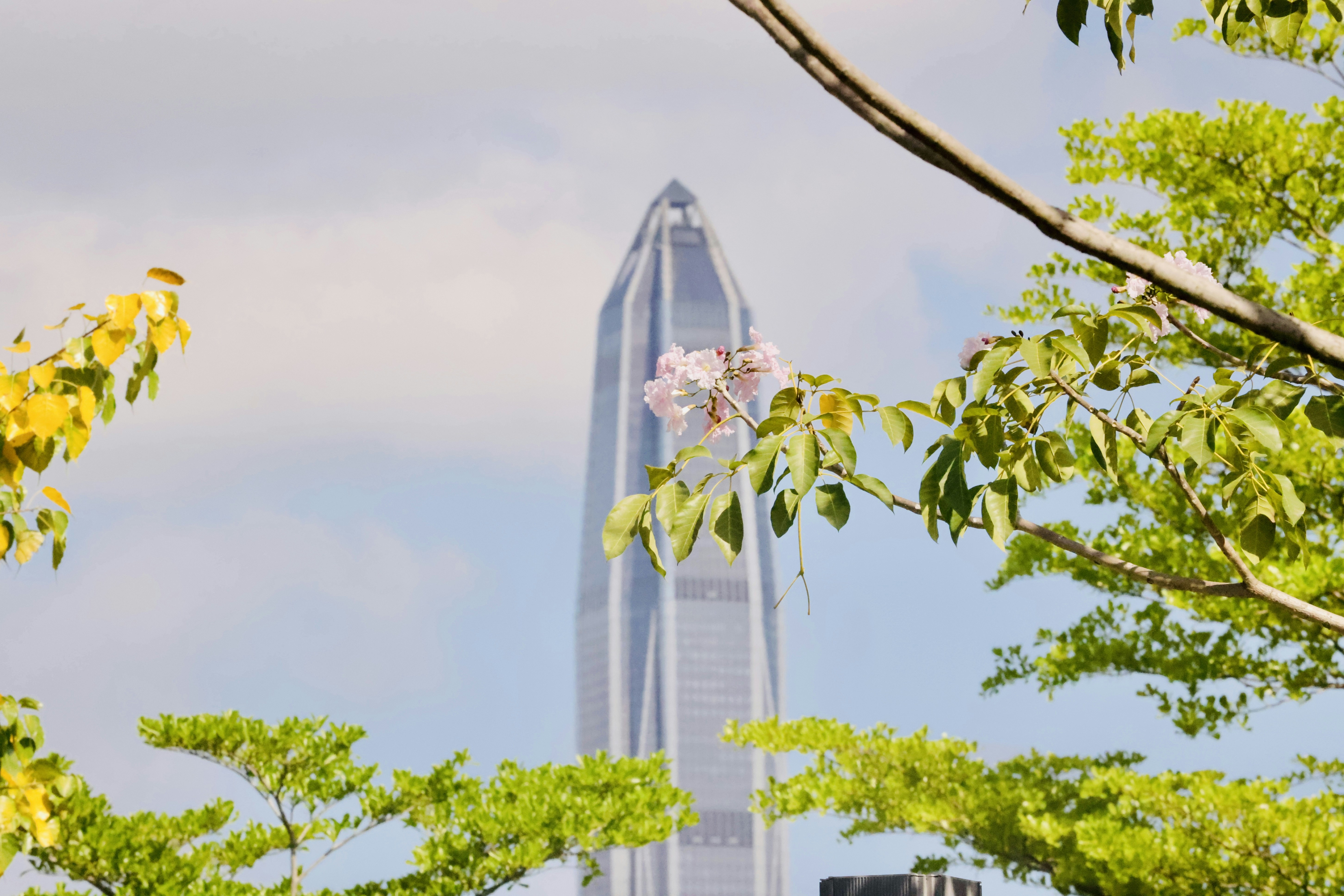 Photo by dickenslin76