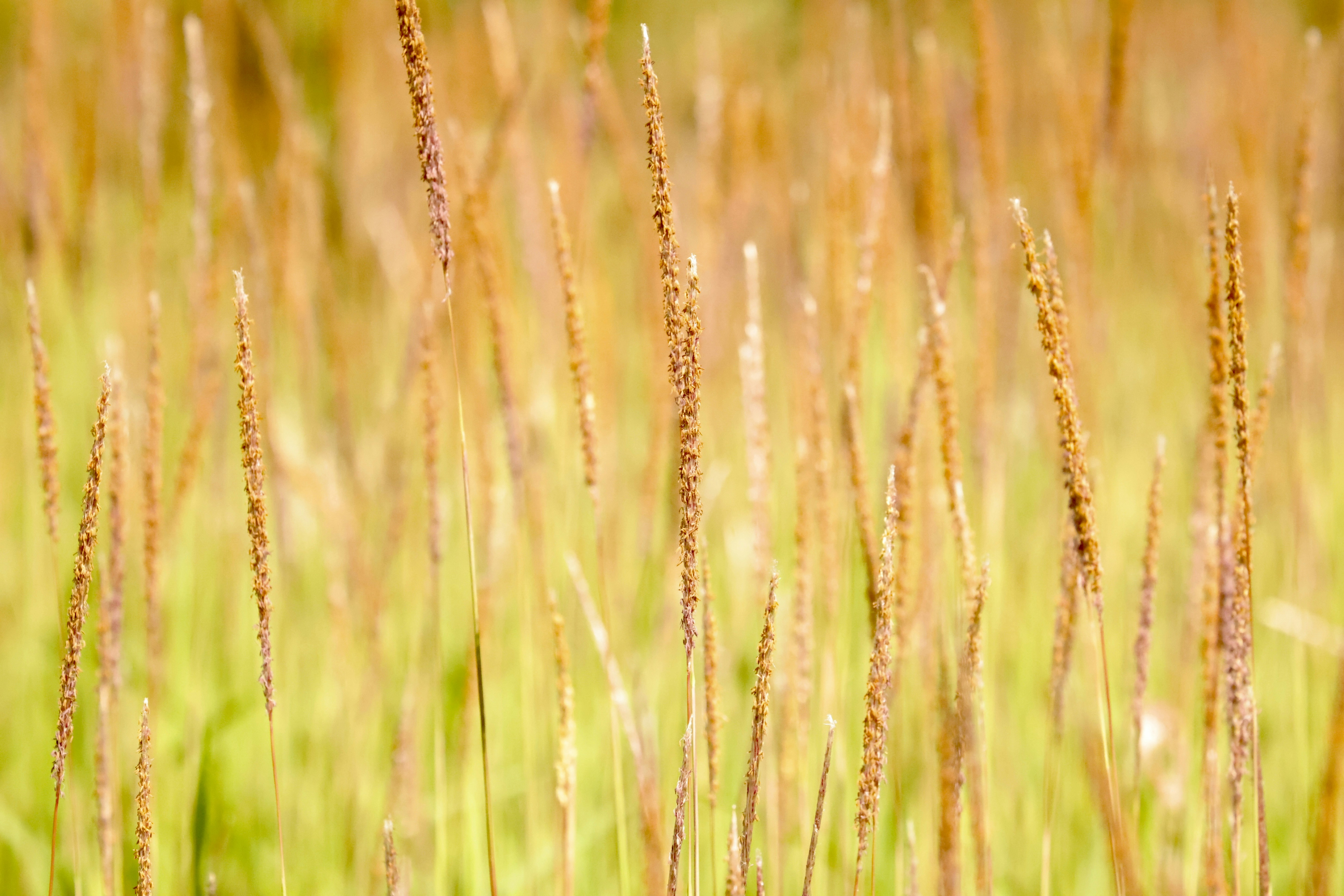 Photo by dickenslin76