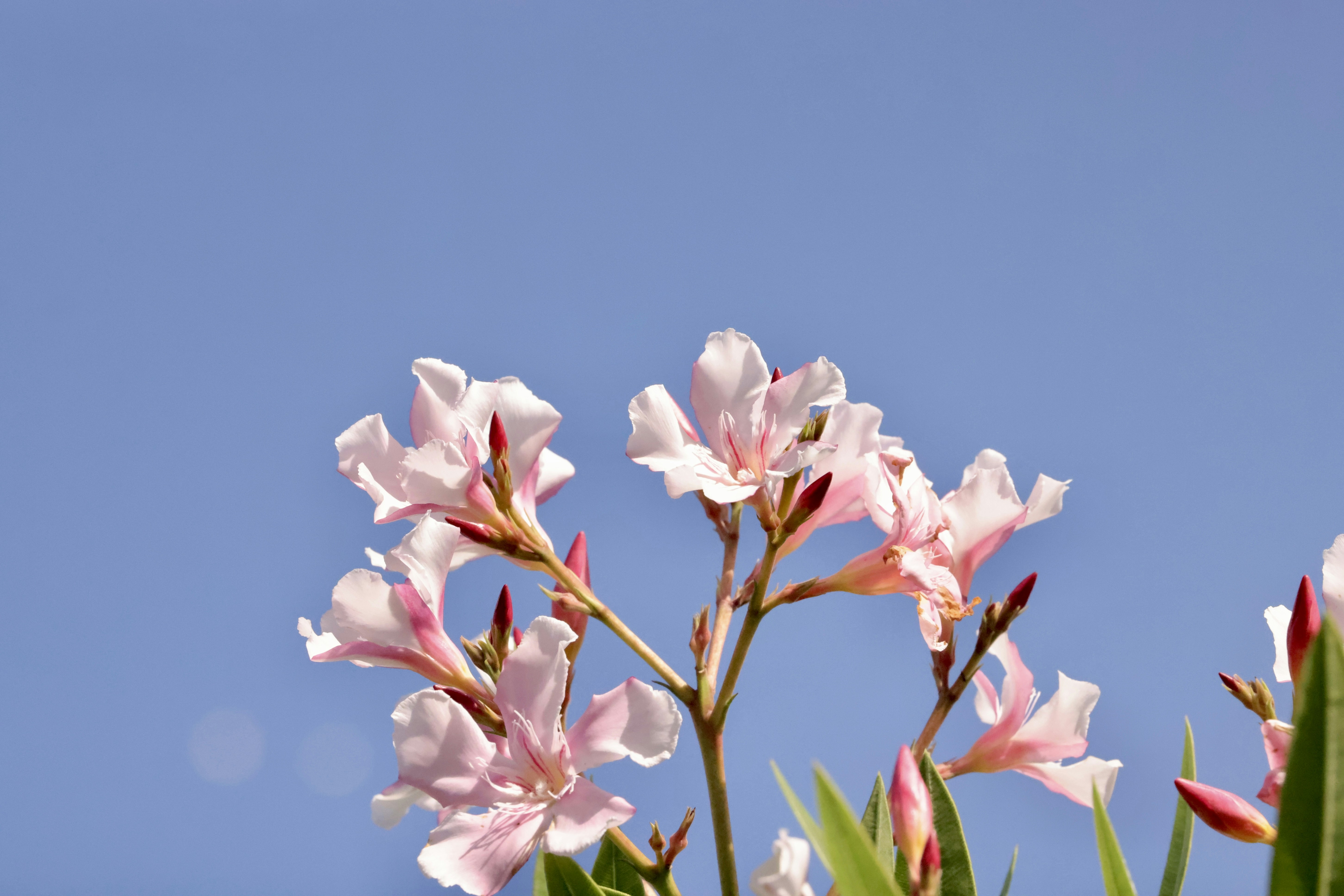 Photo by dickenslin76