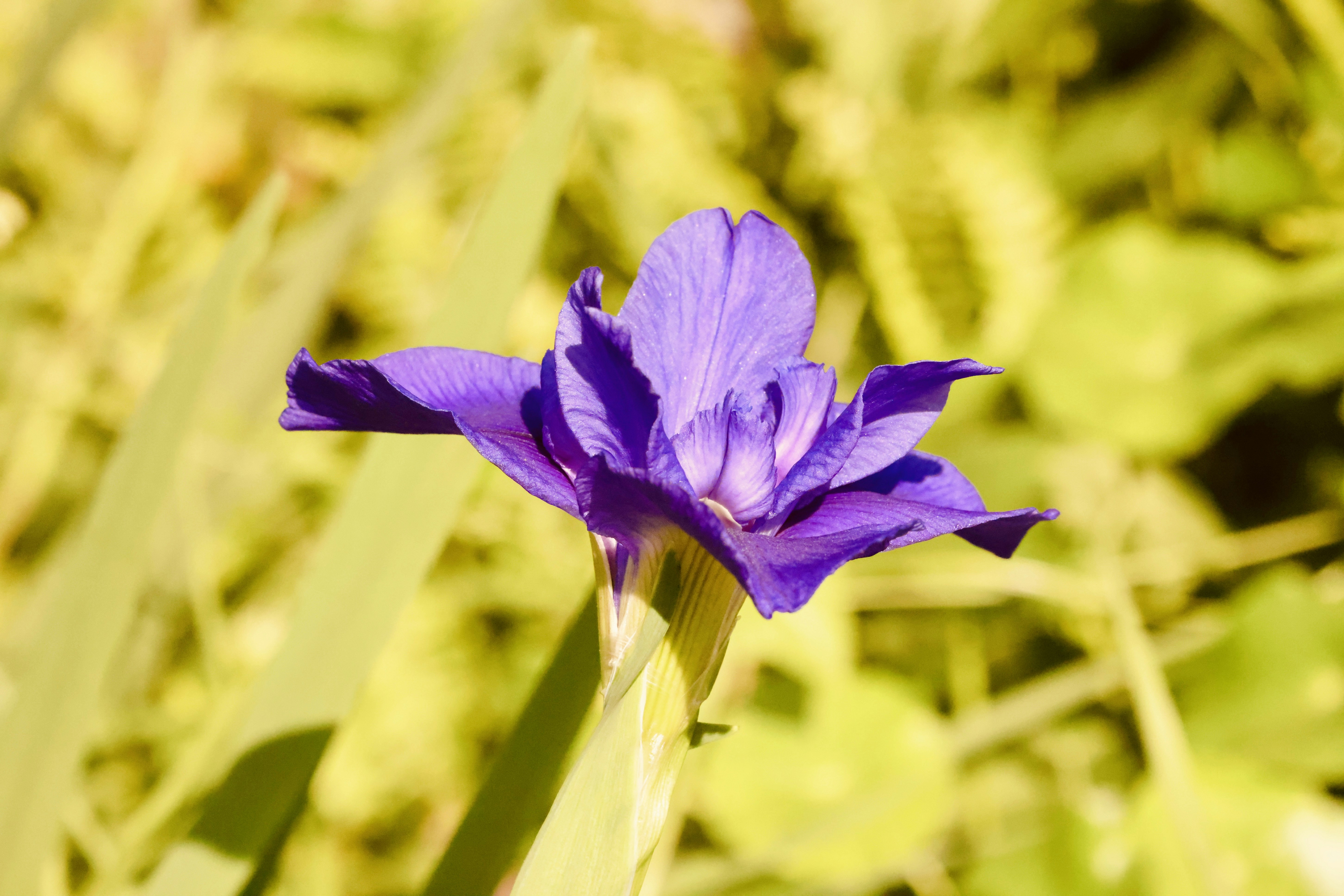 Photo by dickenslin76