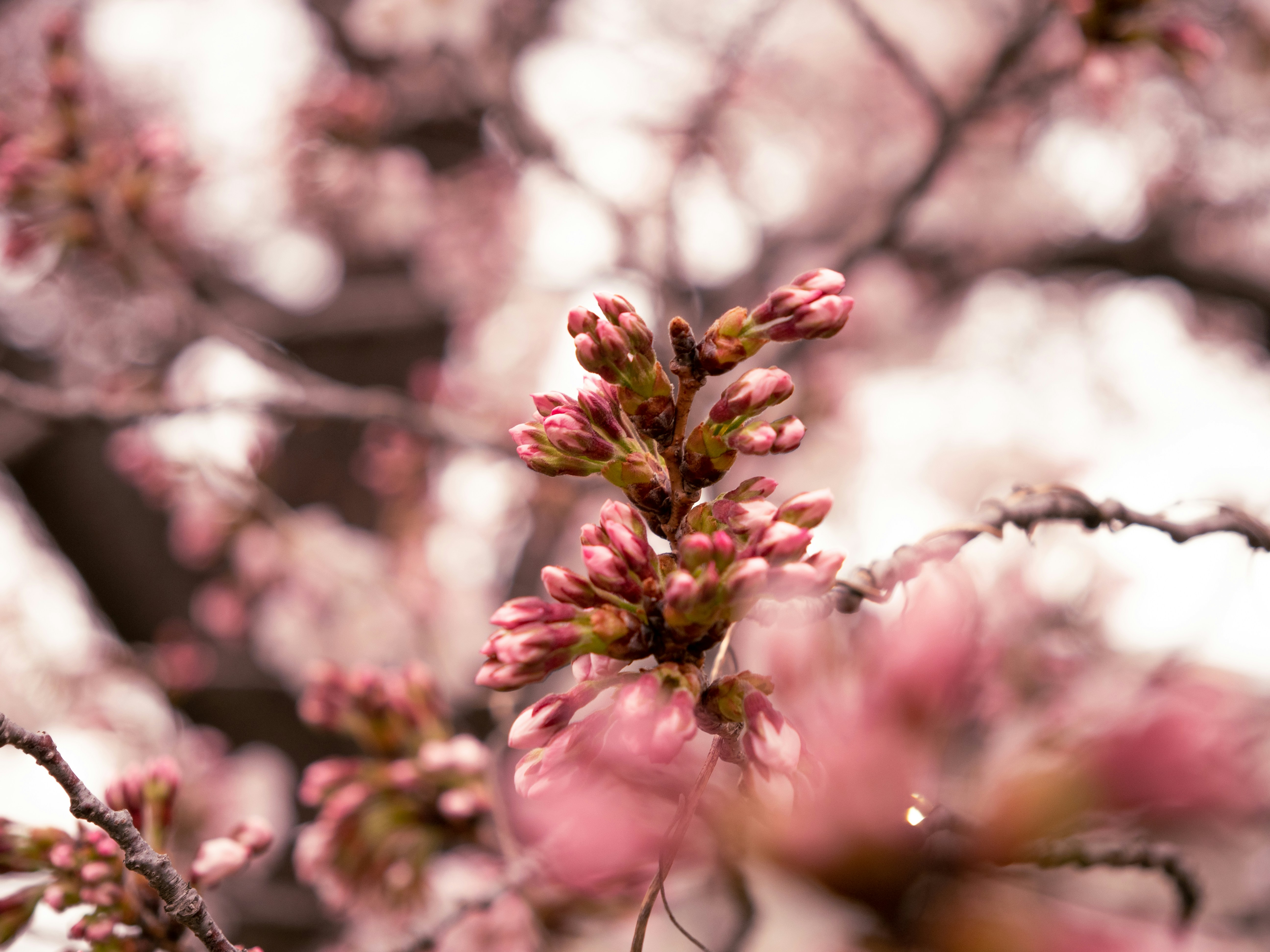 Photo by shellingfordyu