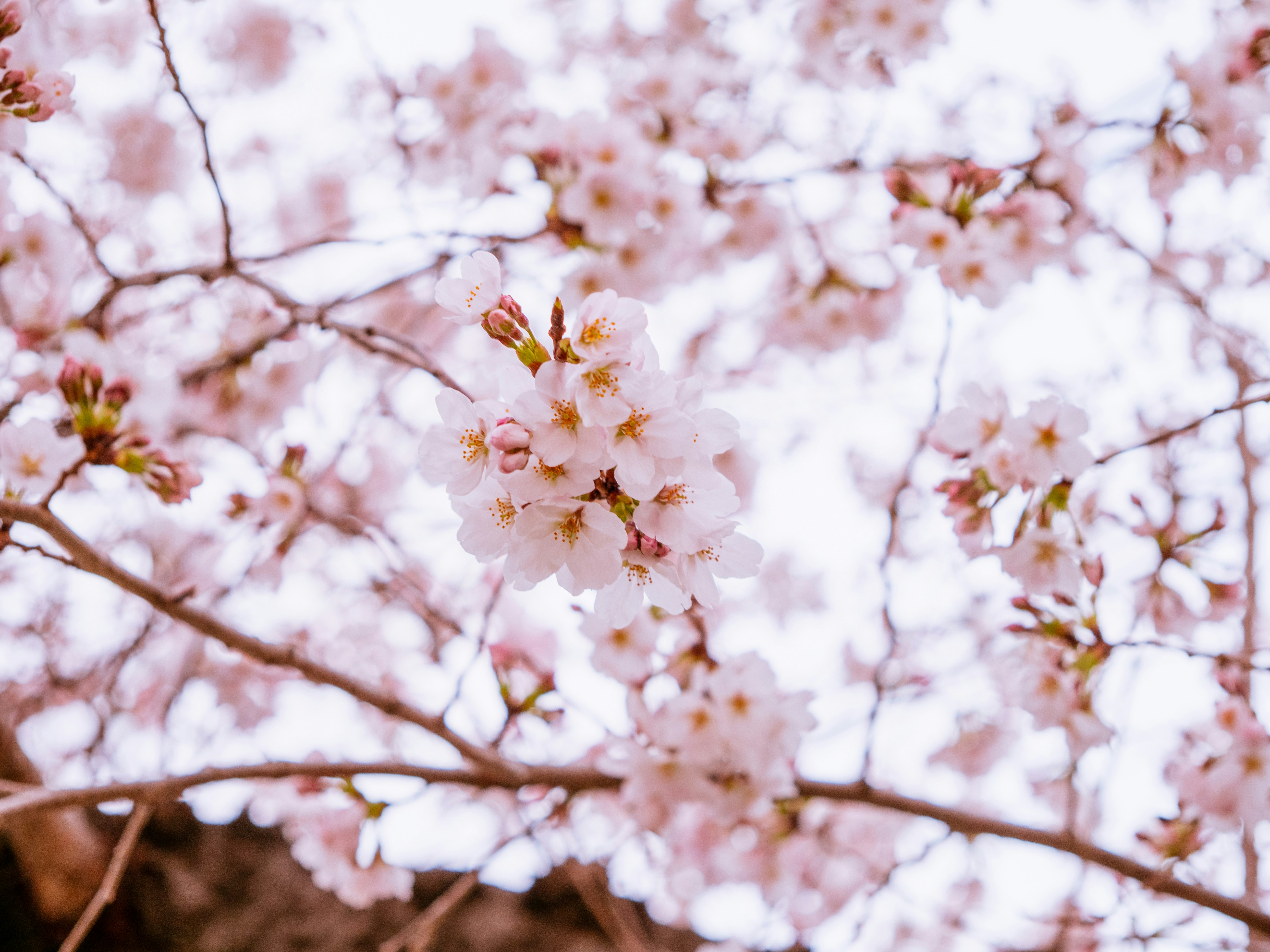 Photo by shellingfordyu