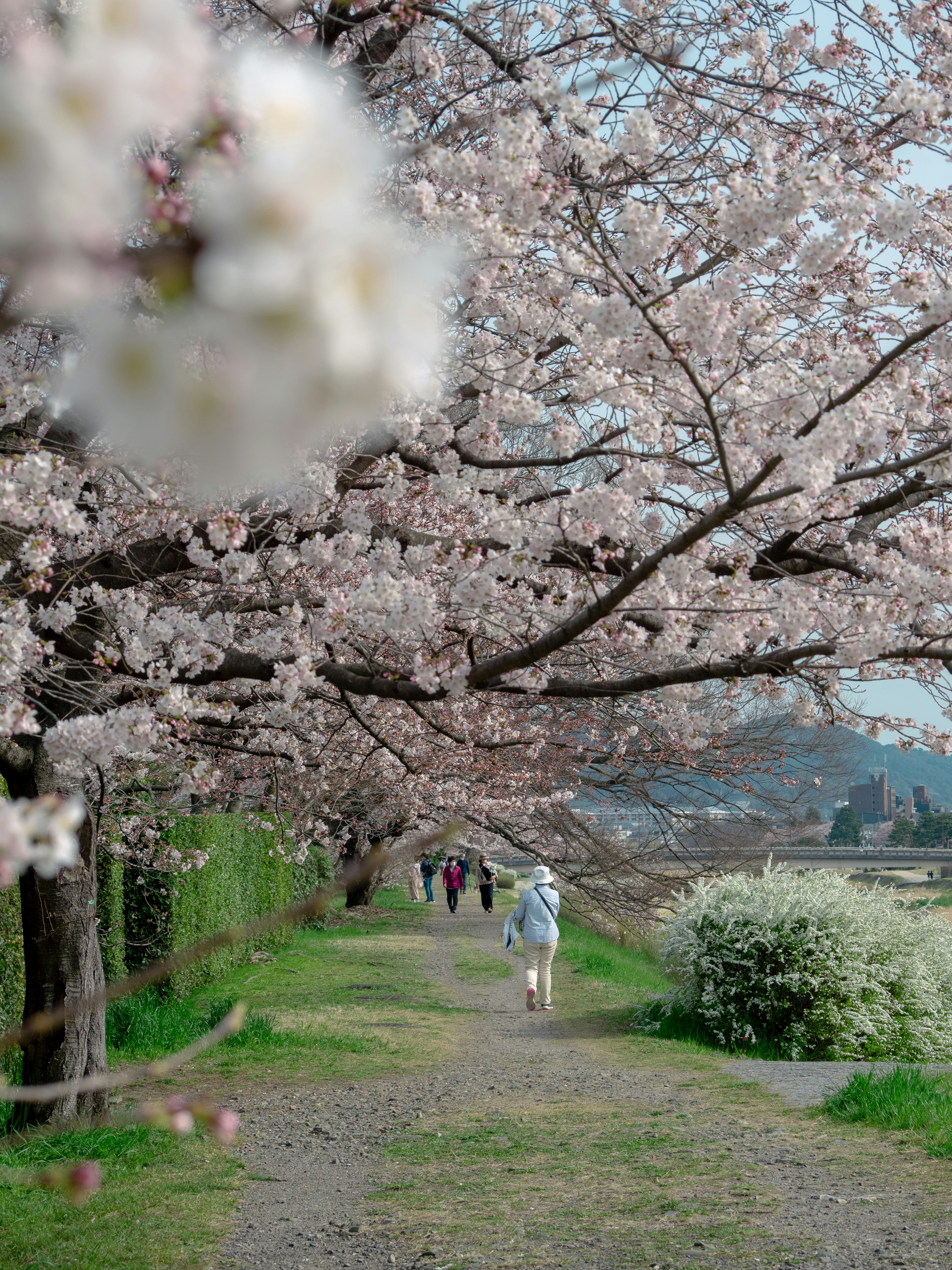 Photo by shellingfordyu