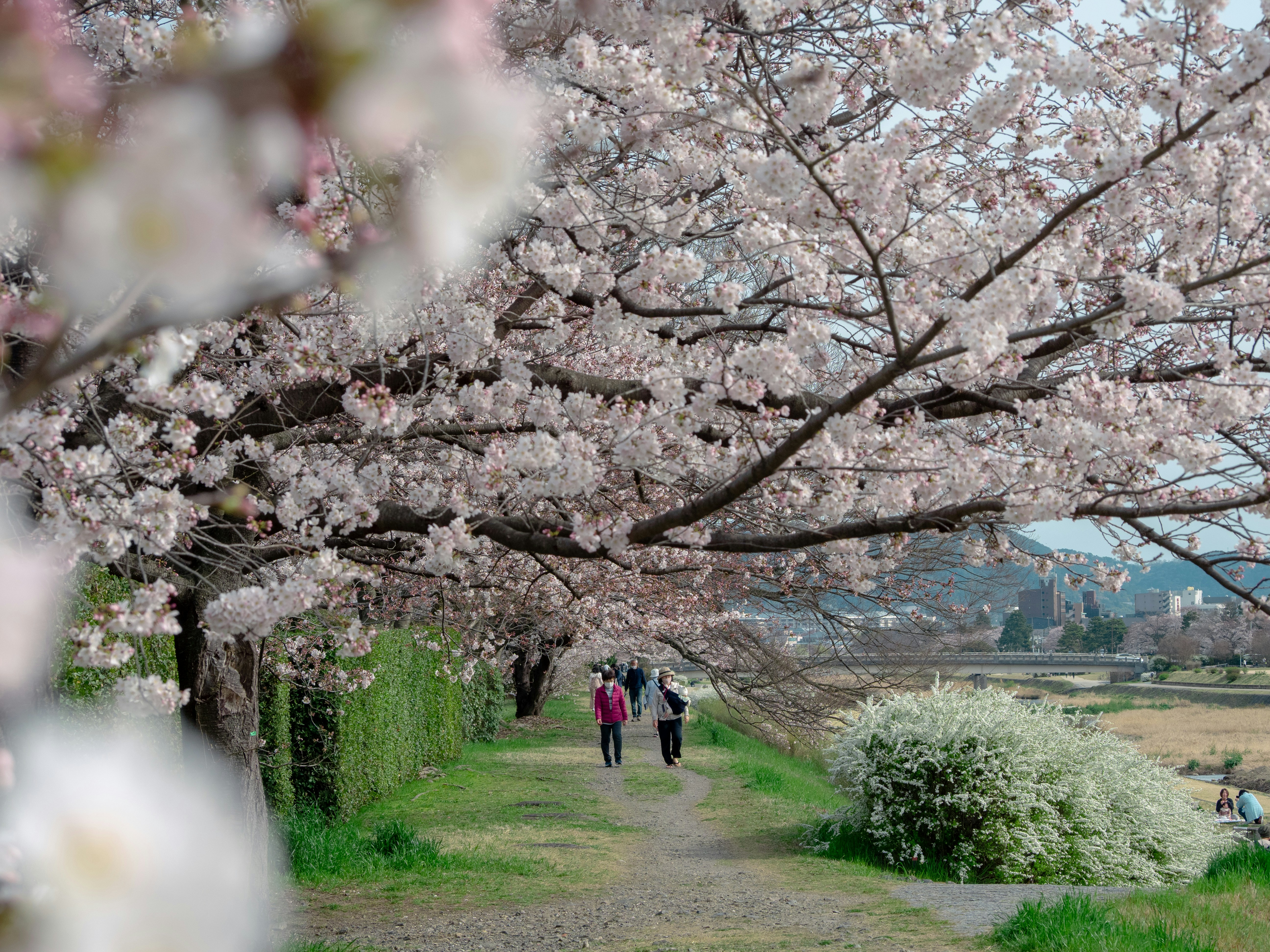 Photo by shellingfordyu