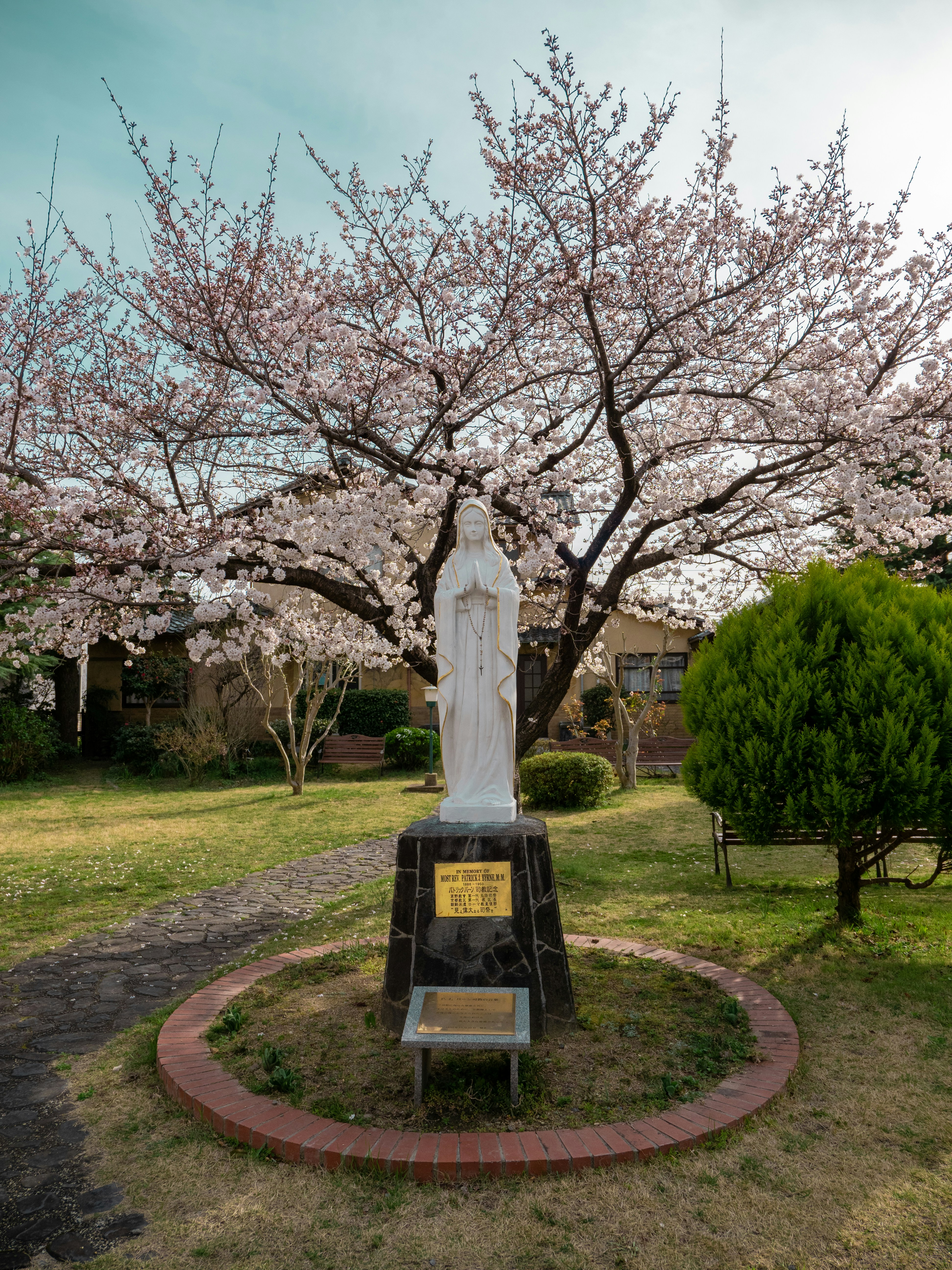 Photo by shellingfordyu