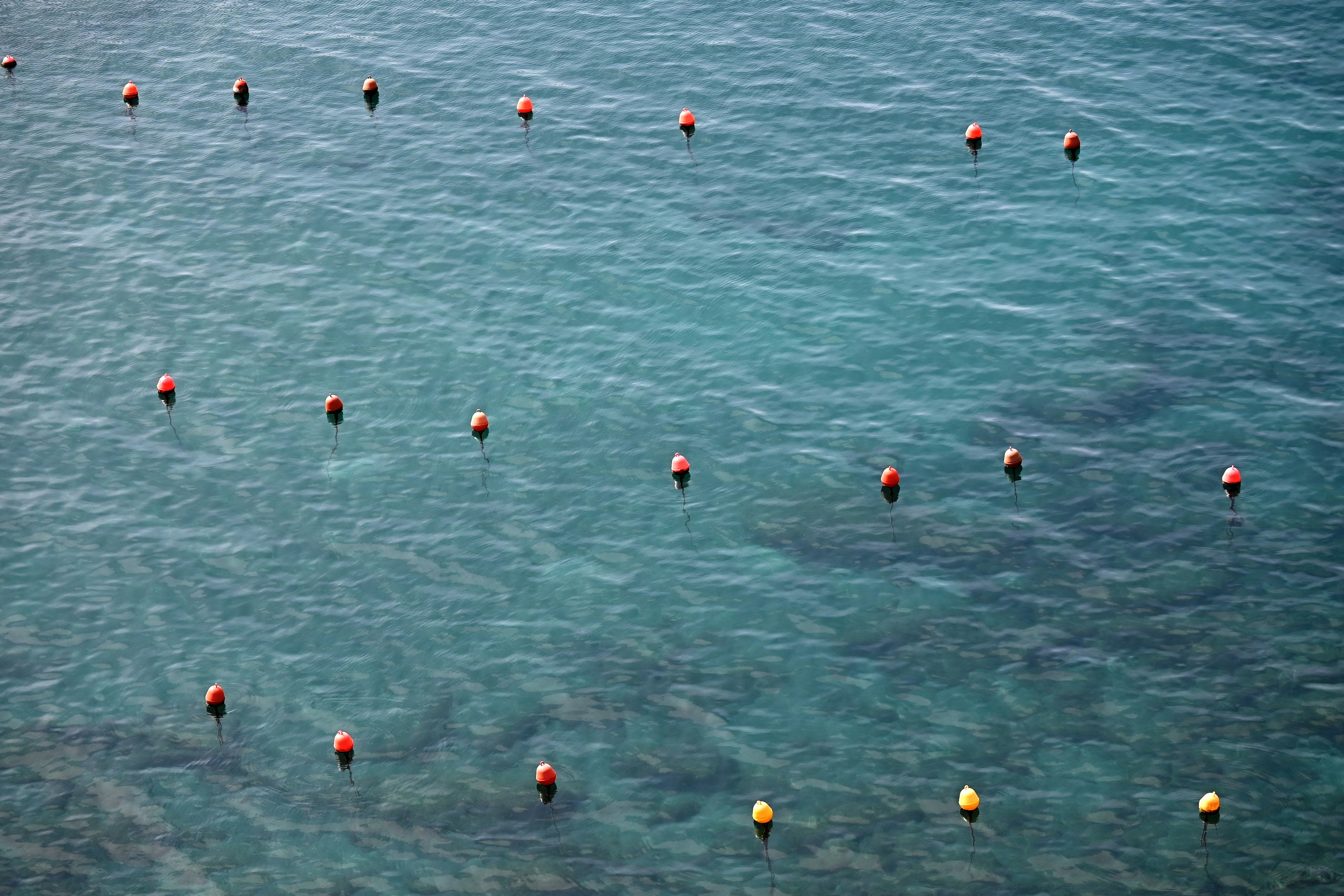 a group of orange and yellow balls floating in the ocean