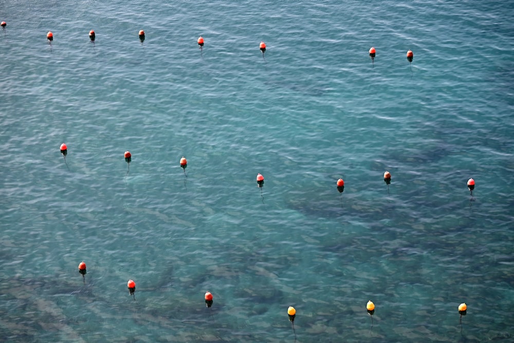 Eine Gruppe orangefarbener und gelber Kugeln, die im Ozean schwimmen