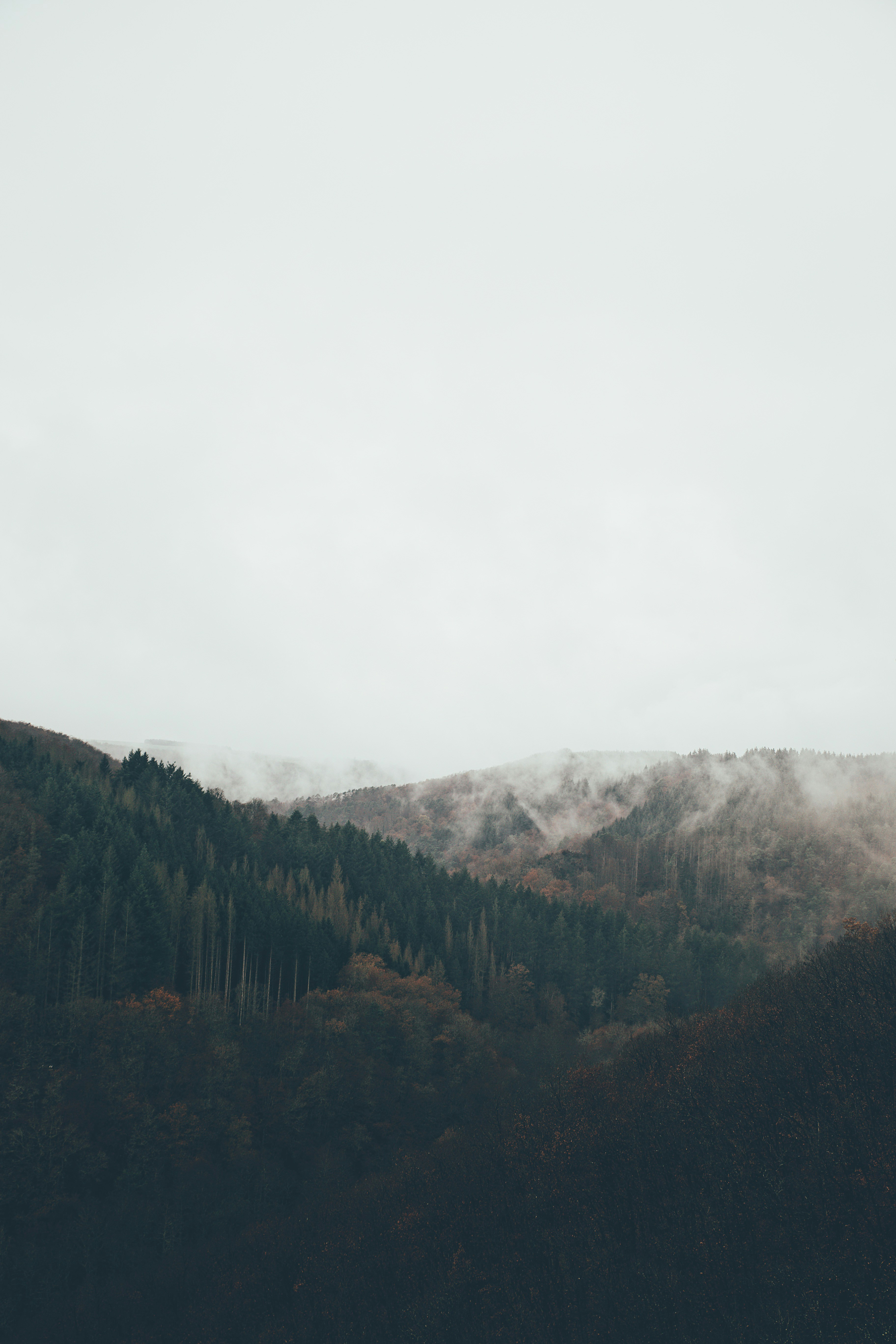 Photo by swagstreetboi